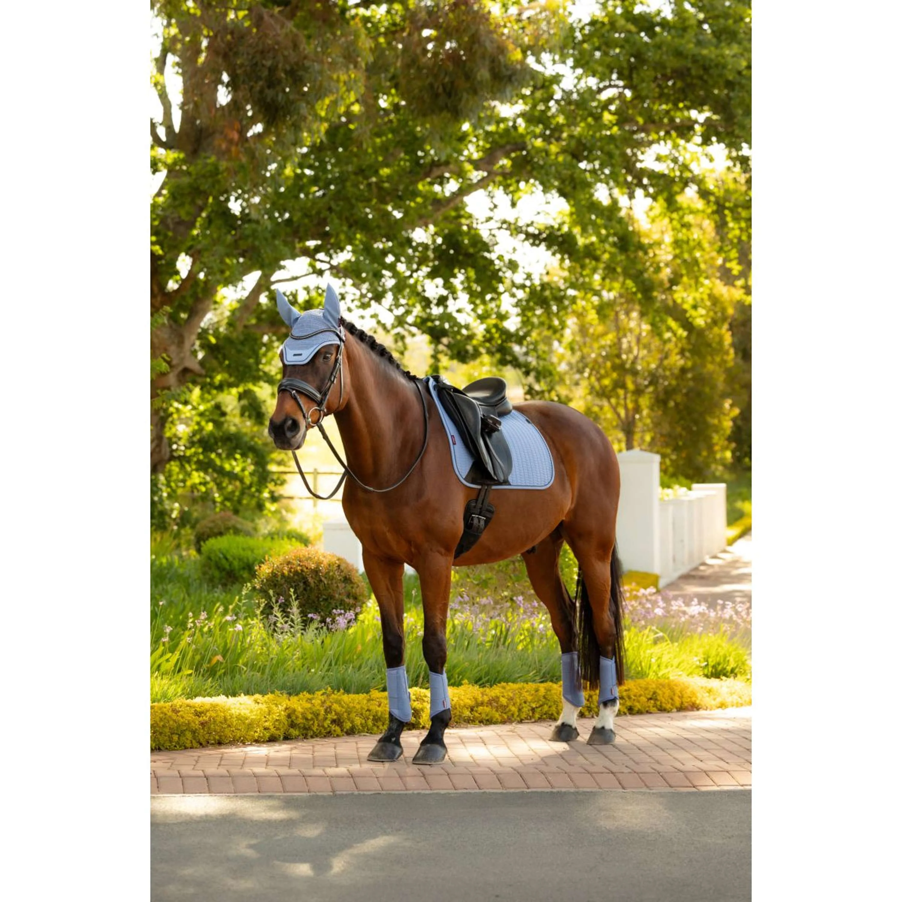 LeMieux Tapis de Selle Essence Square Dressage Powder Blue - Image 2