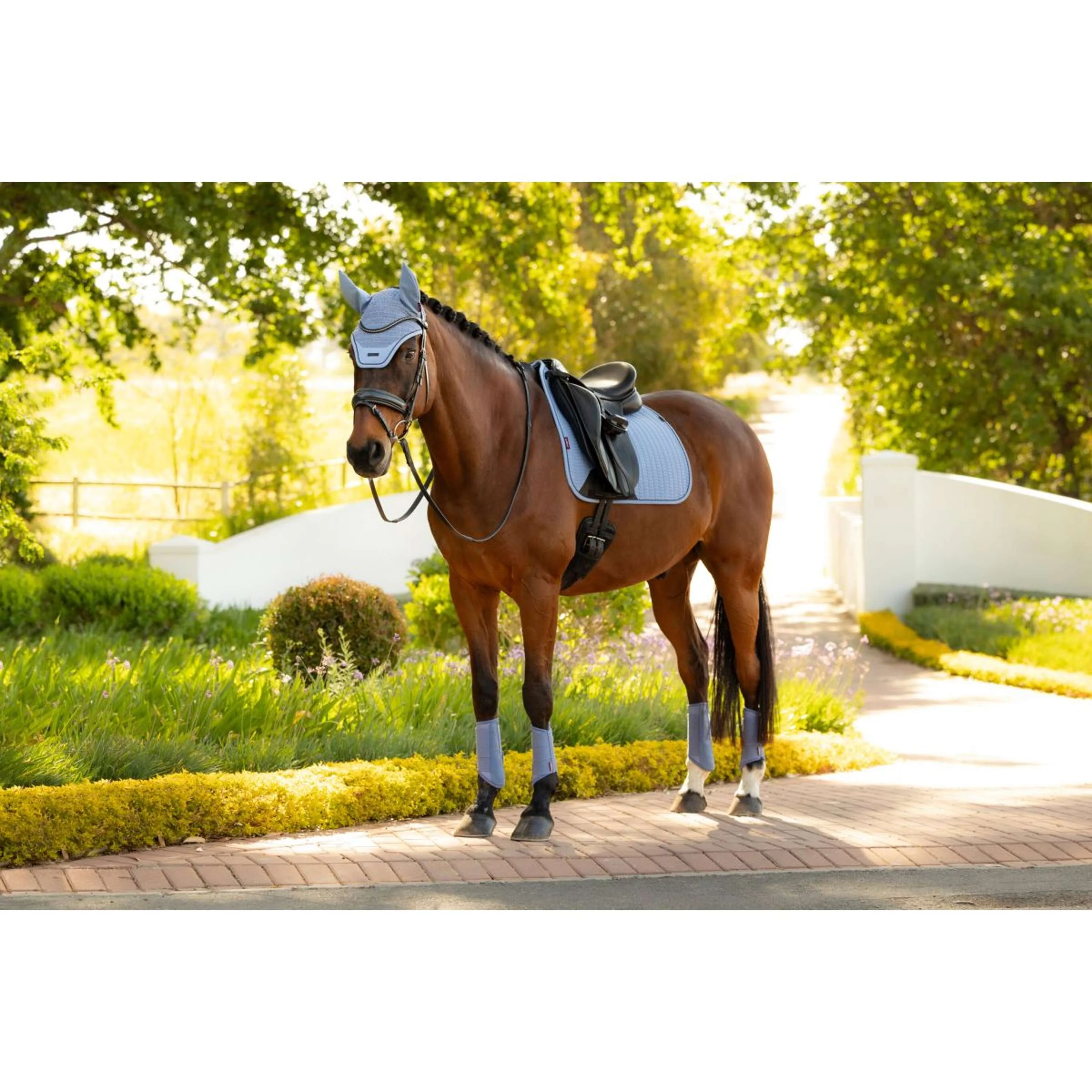 LeMieux Tapis de Selle Essence Square Dressage Powder Blue - Image 6