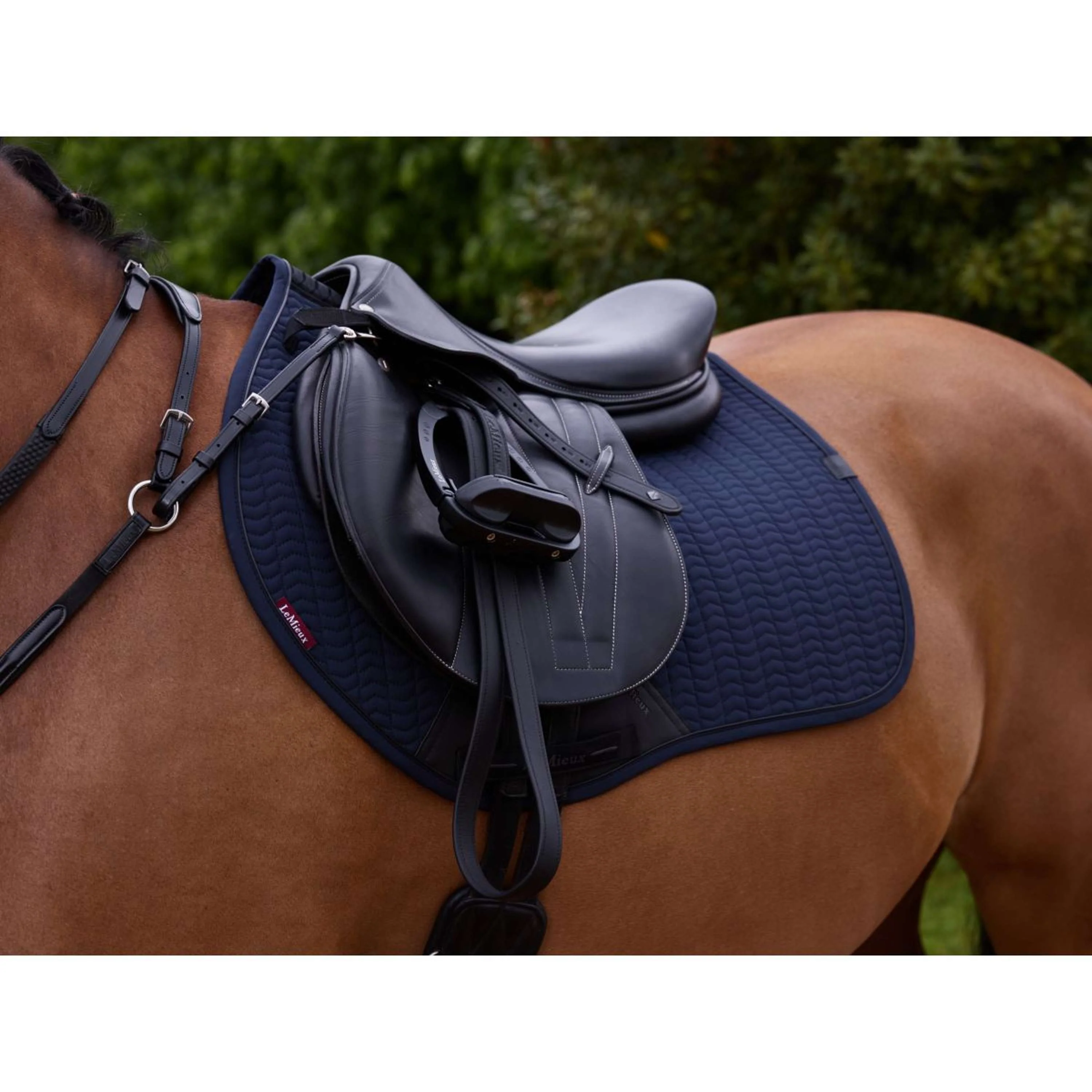 LeMieux Tapis de Selle Essence de Saut Marin - Image 2