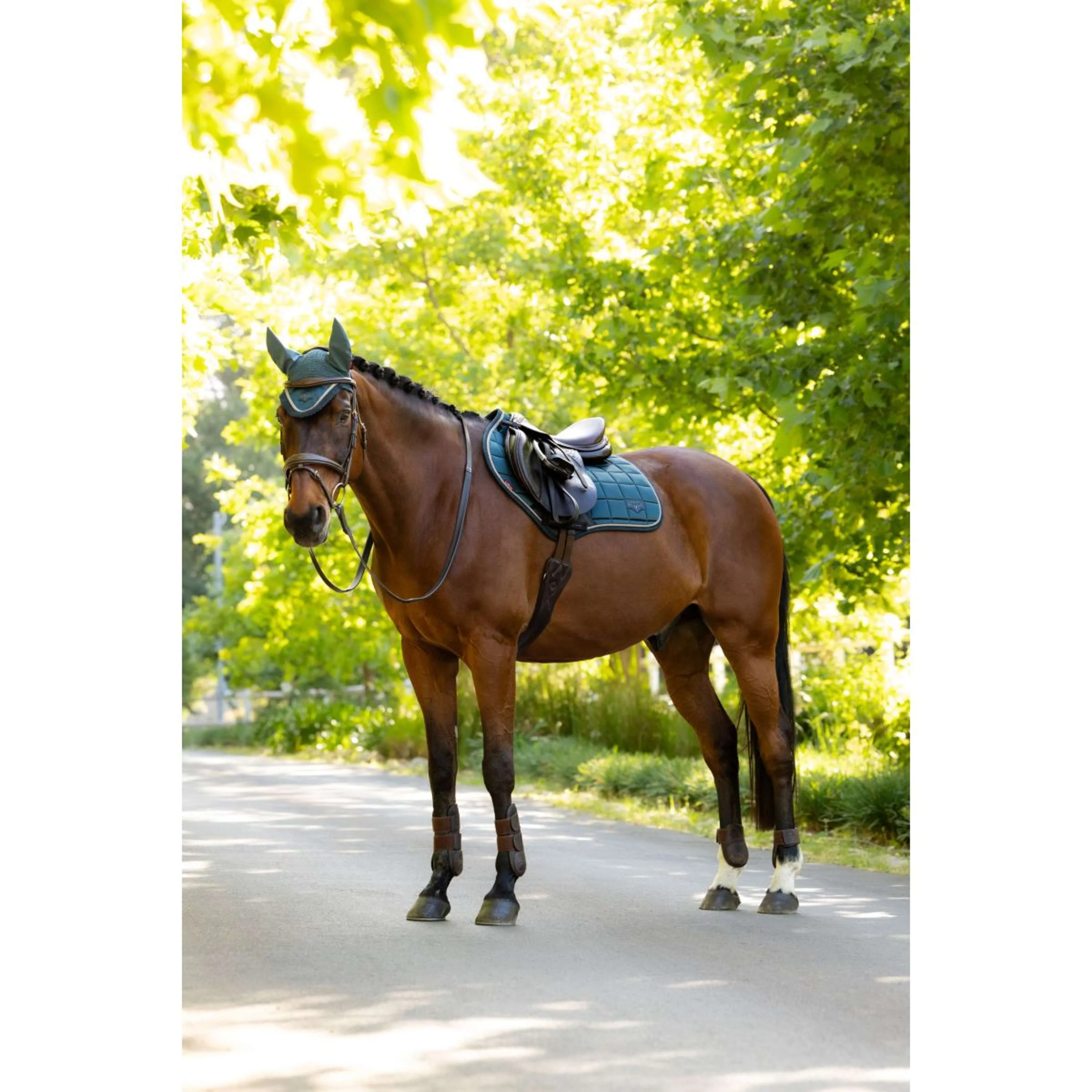LeMieux Tapis de Selle Loire Classic Close Contact Square de Saut Jungle - Image 4