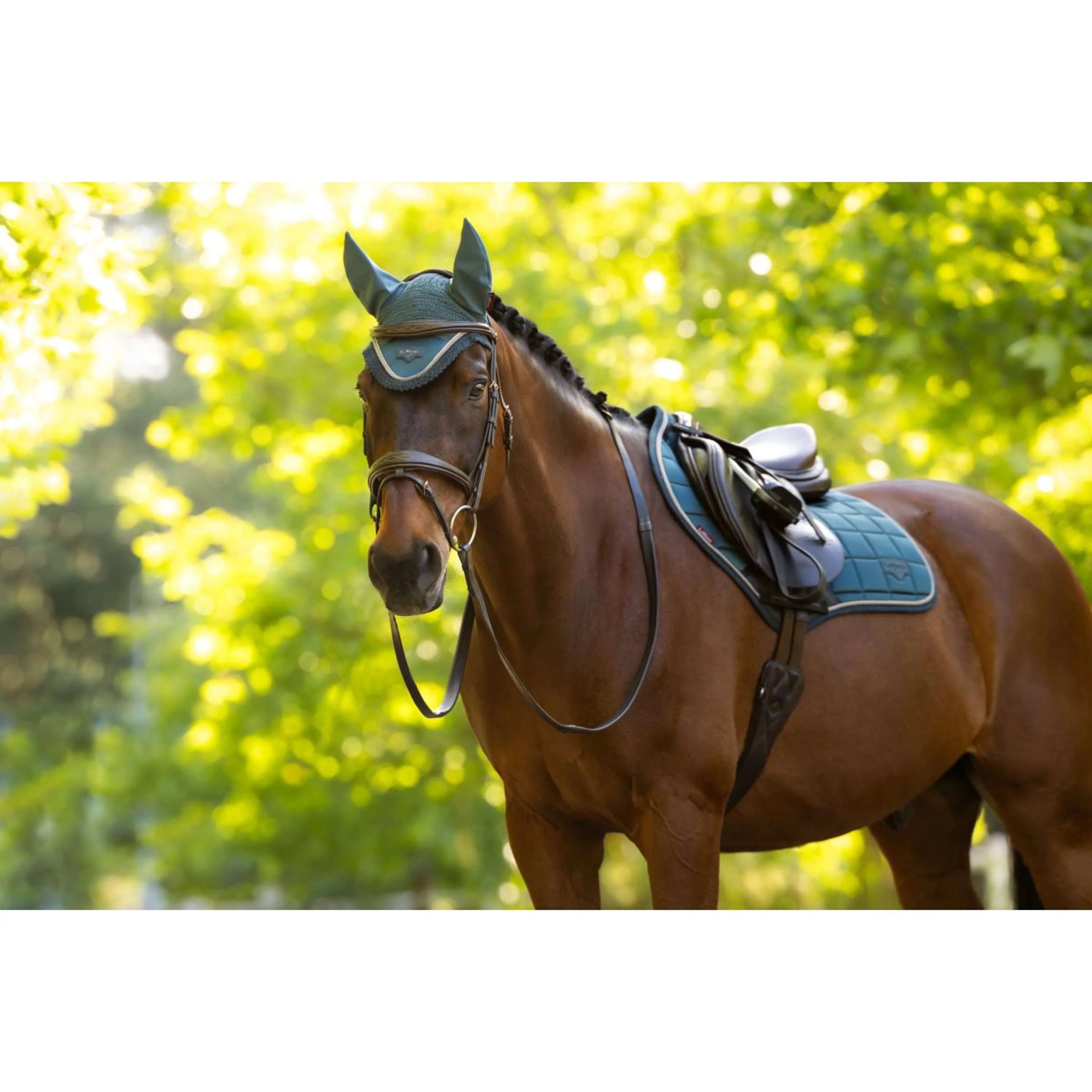 LeMieux Tapis de Selle Loire Classic Close Contact Square de Saut Jungle - Image 5