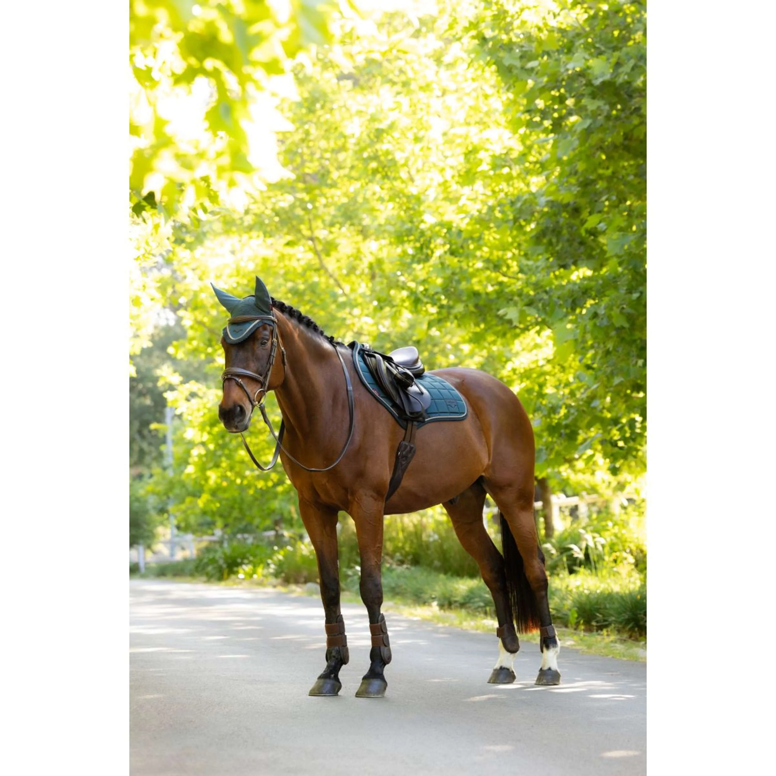 LeMieux Tapis de Selle Loire Classic Close Contact Square de Saut Jungle - Image 6