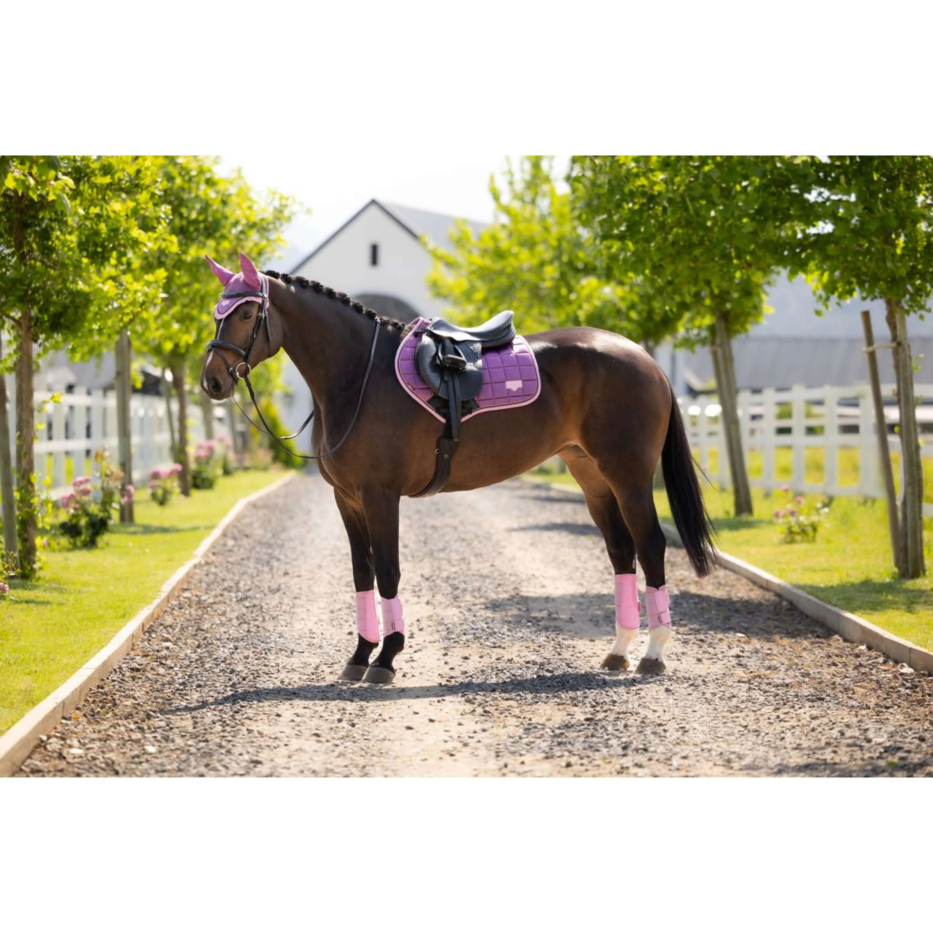 LeMieux Tapis de Selle Loire Classic Close Contact Square de Saut Mallow - Image 5