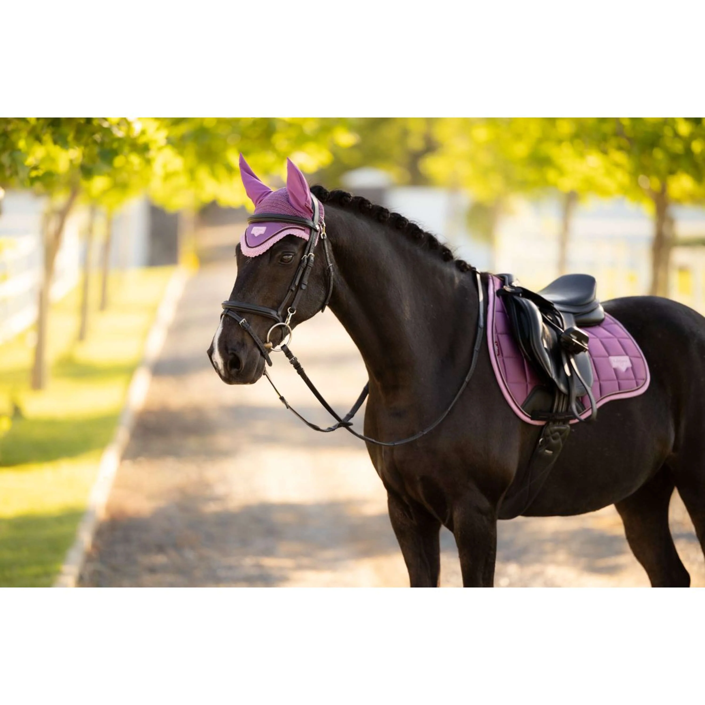 LeMieux Tapis de Selle Loire Classic Close Contact Square de Saut Mallow - Image 9