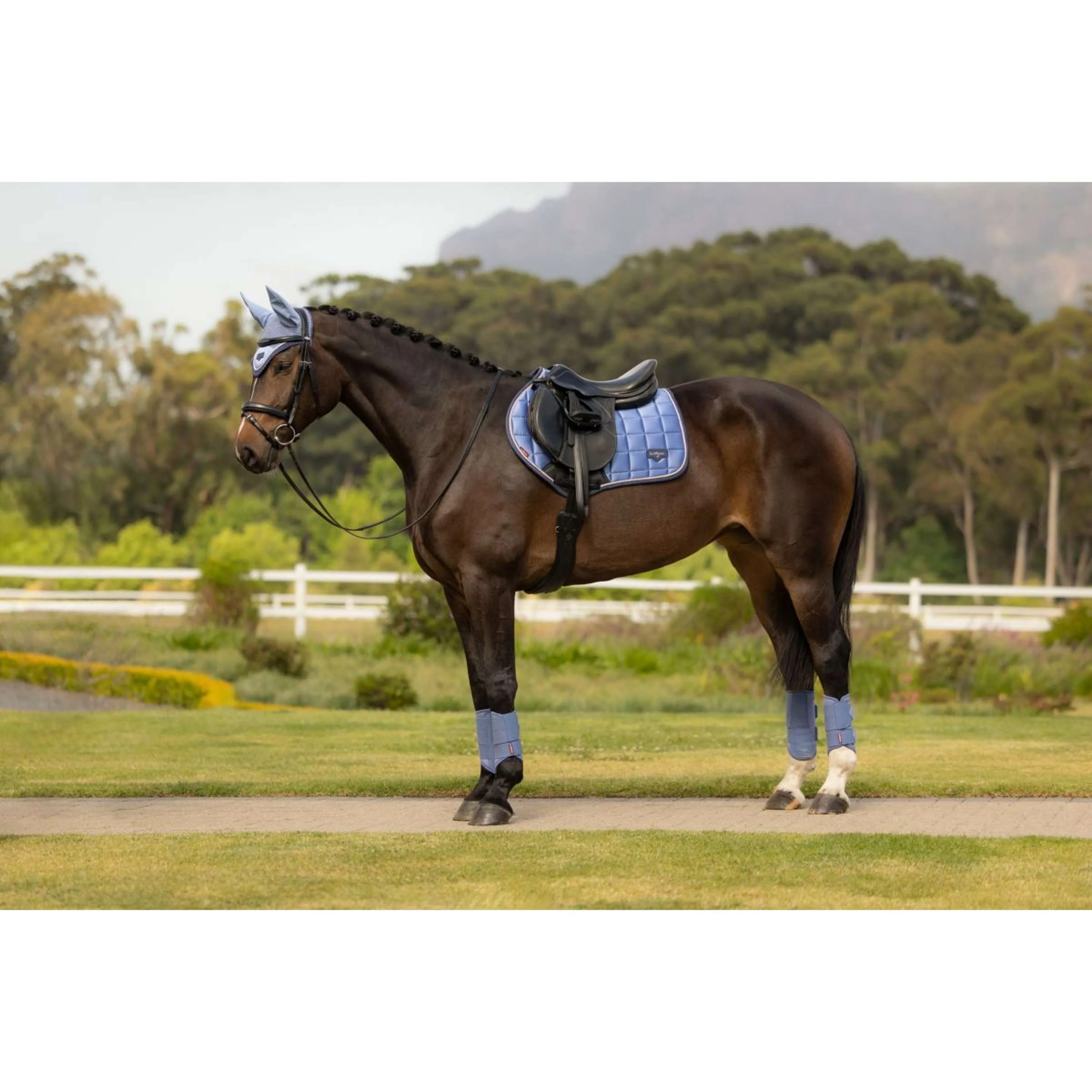 LeMieux Tapis de Selle Loire Classic Close Contact Square de Saut Powder Blue - Image 3