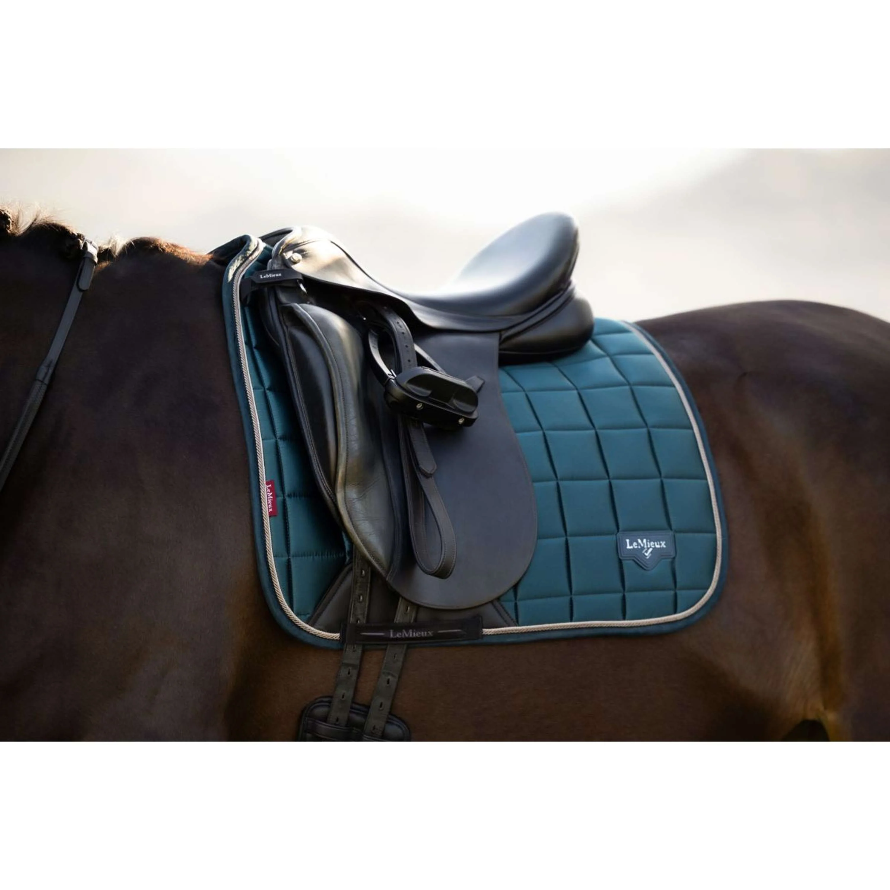 LeMieux Tapis de Selle Loire Classic Square Dressage Jungle - Image 2