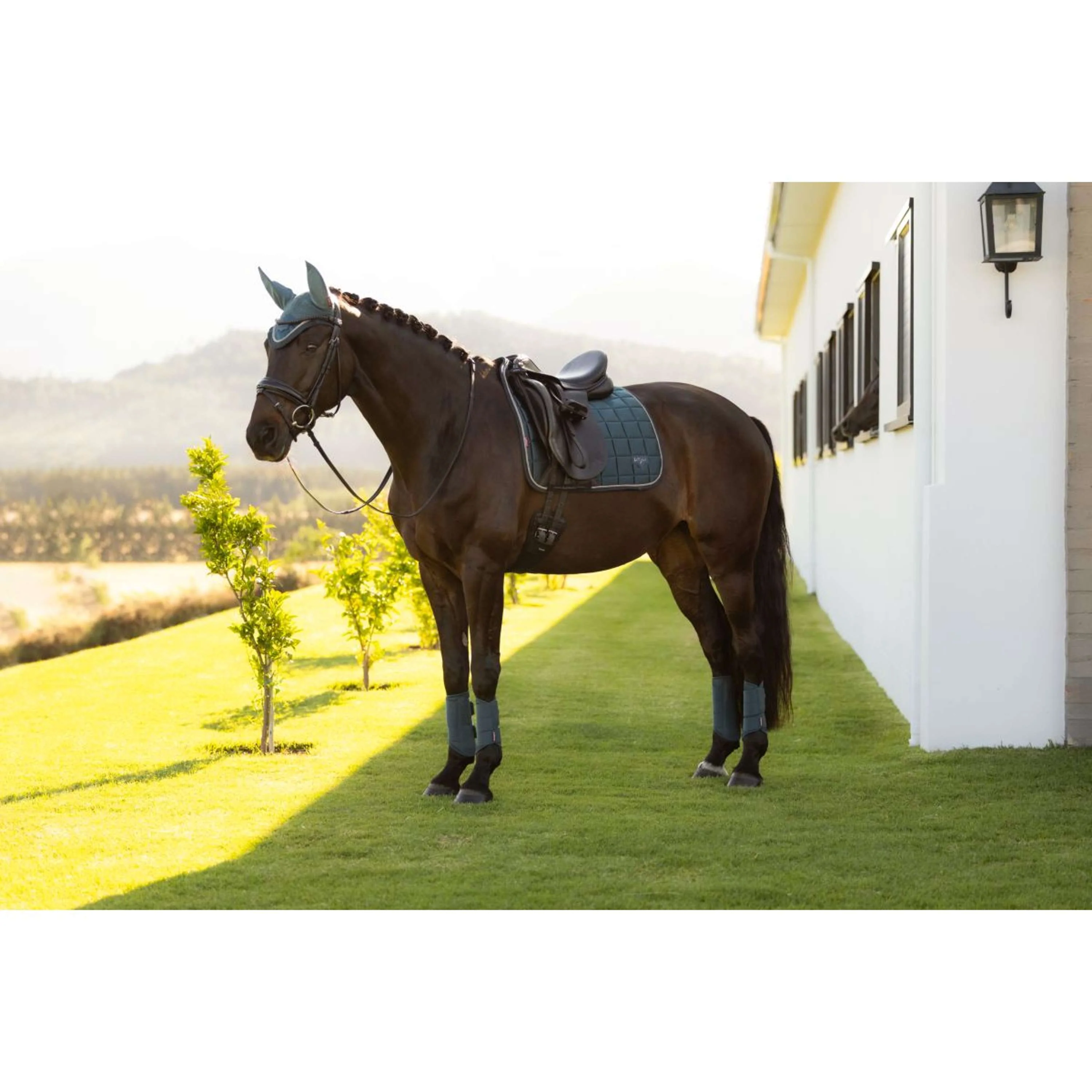 LeMieux Tapis de Selle Loire Classic Square Dressage Jungle - Image 3
