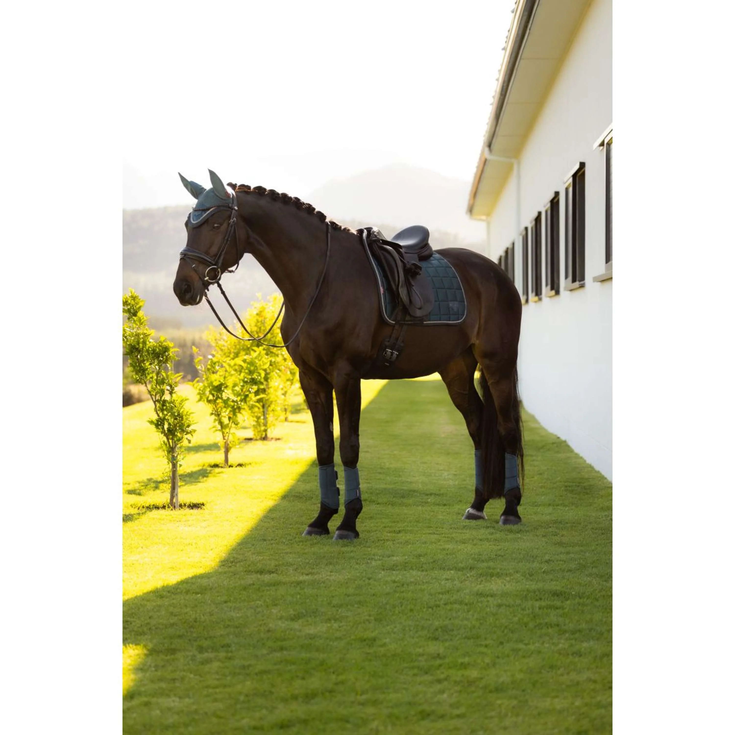 LeMieux Tapis de Selle Loire Classic Square Dressage Jungle - Image 4