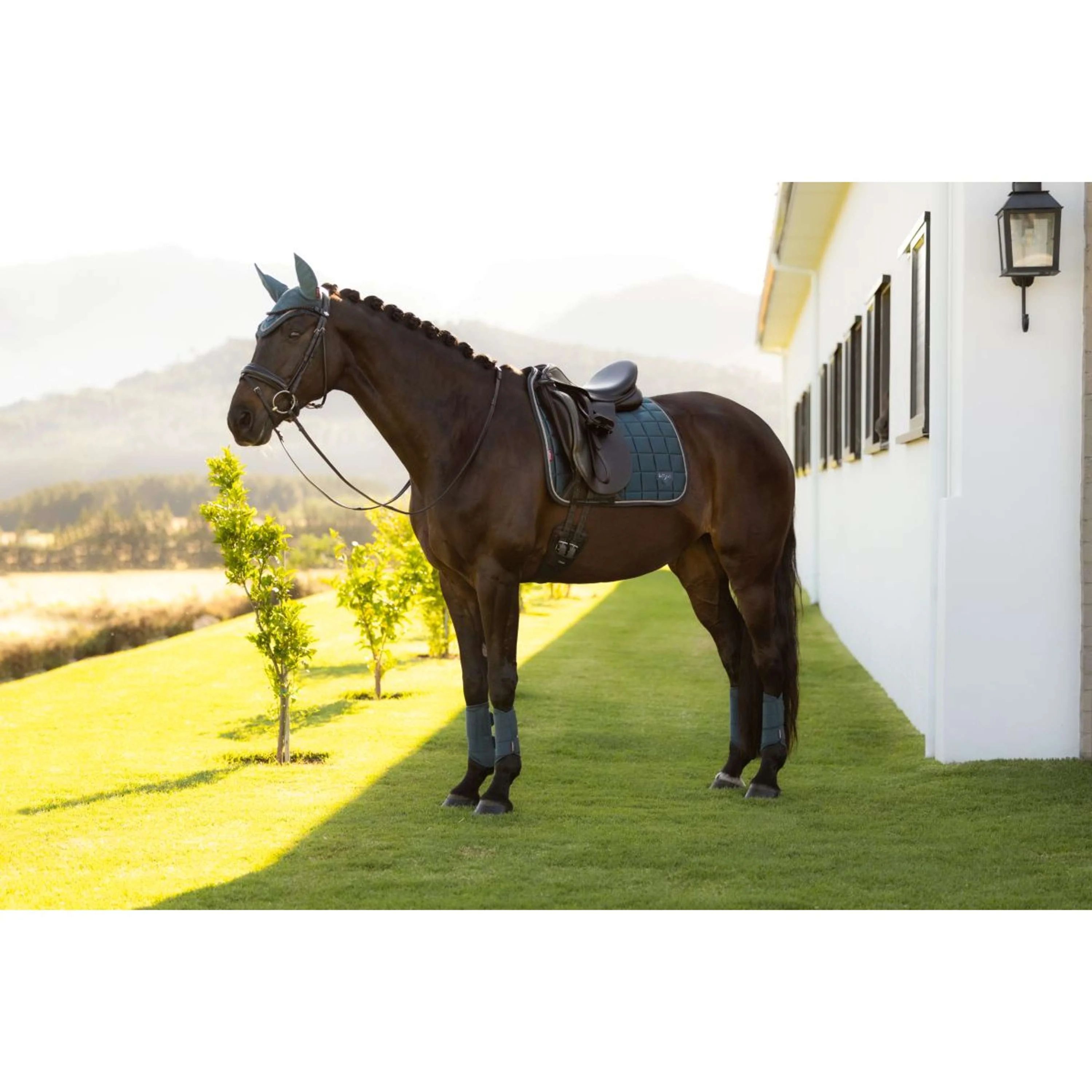 LeMieux Tapis de Selle Loire Classic Square Dressage Jungle - Image 5