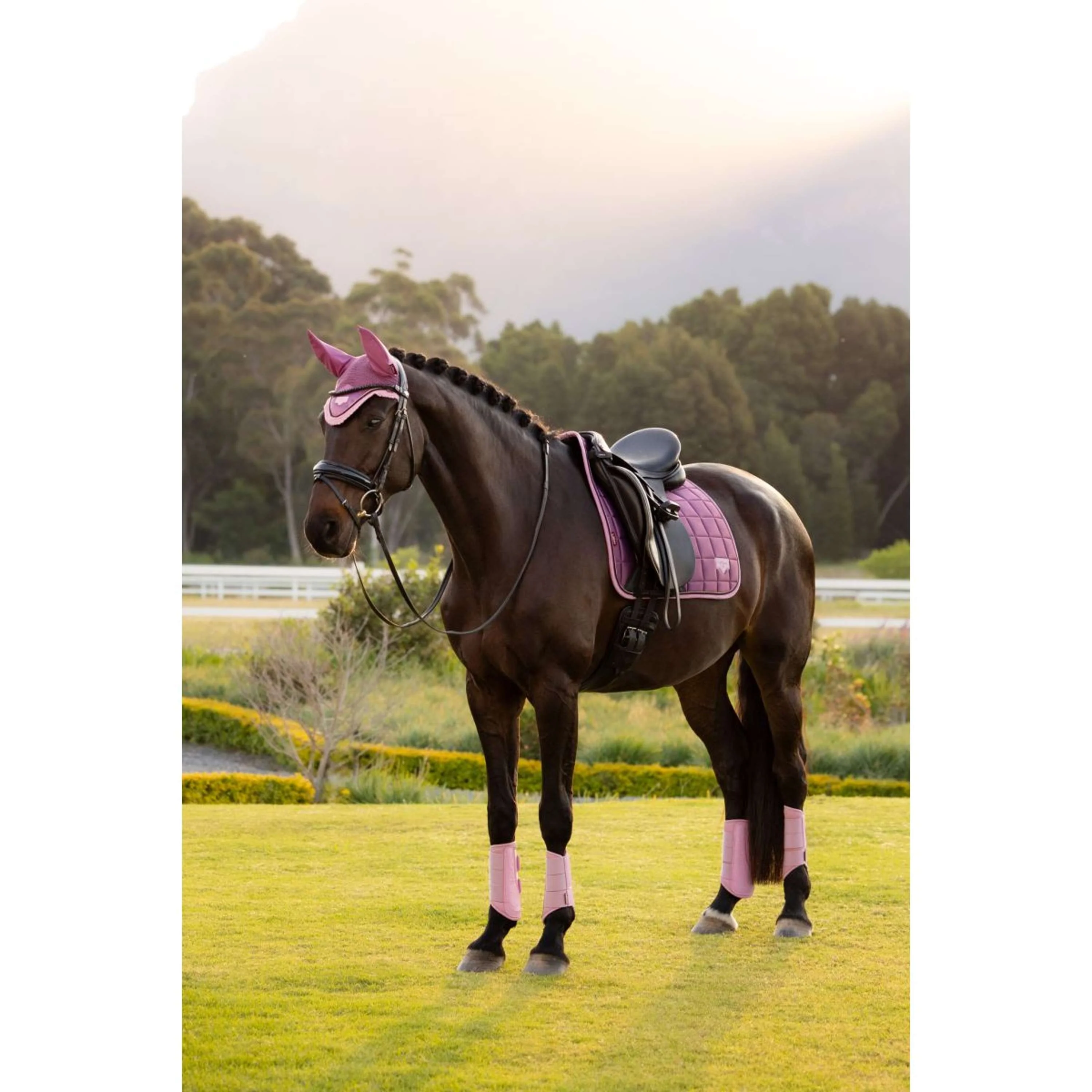 LeMieux Tapis de Selle Loire Classic Square Dressage Mallow - Image 11