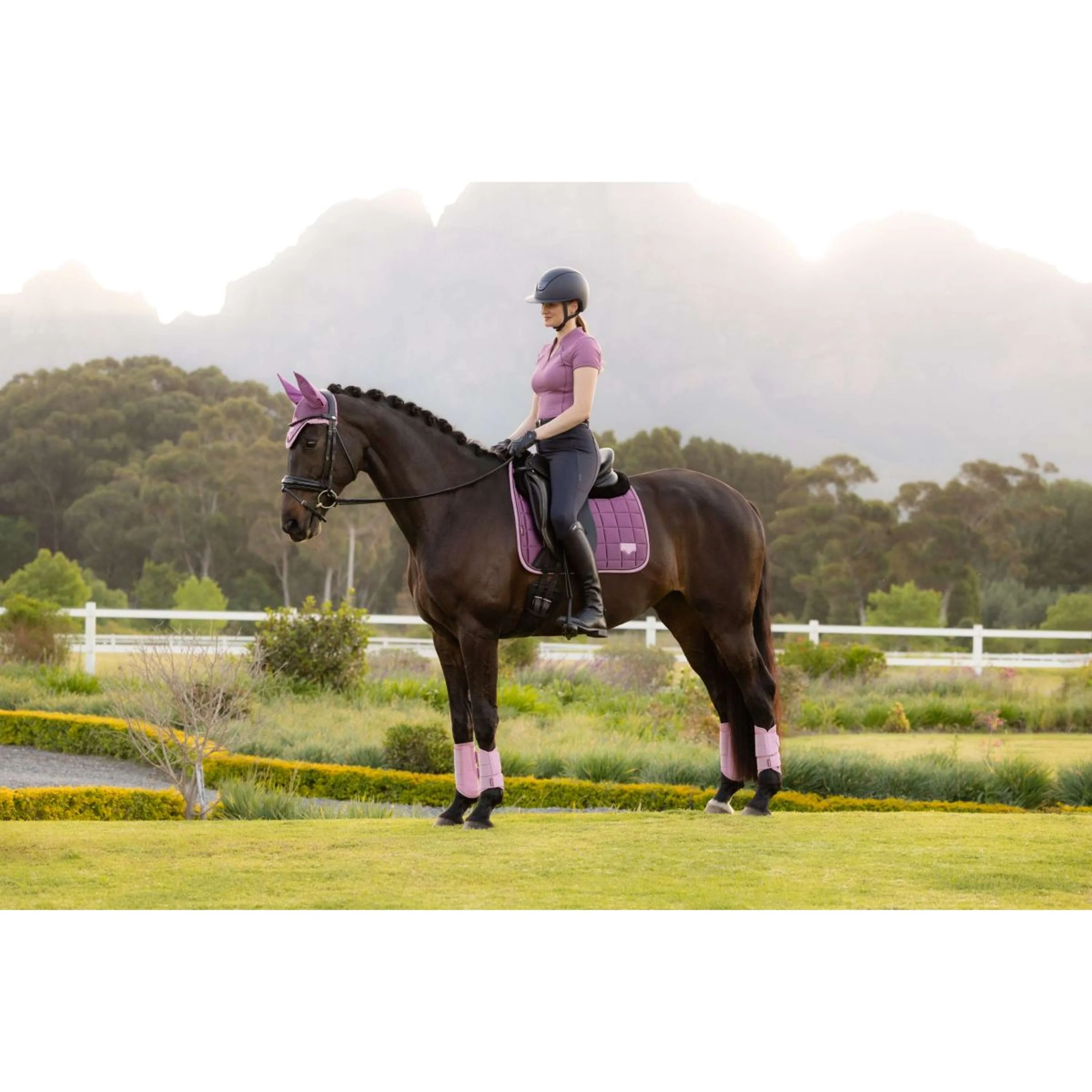 LeMieux Tapis de Selle Loire Classic Square Dressage Mallow - Image 14