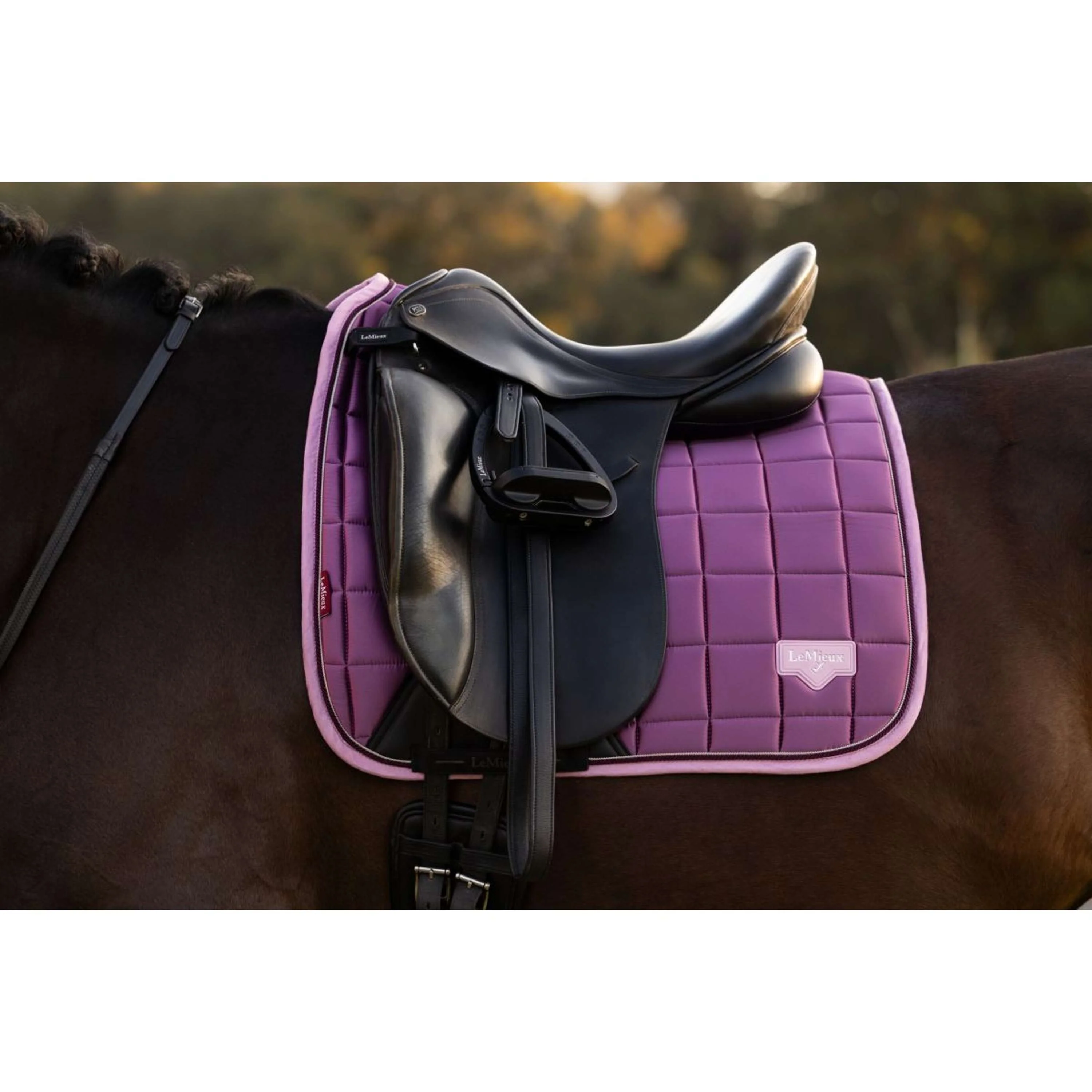 LeMieux Tapis de Selle Loire Classic Square Dressage Mallow - Image 2