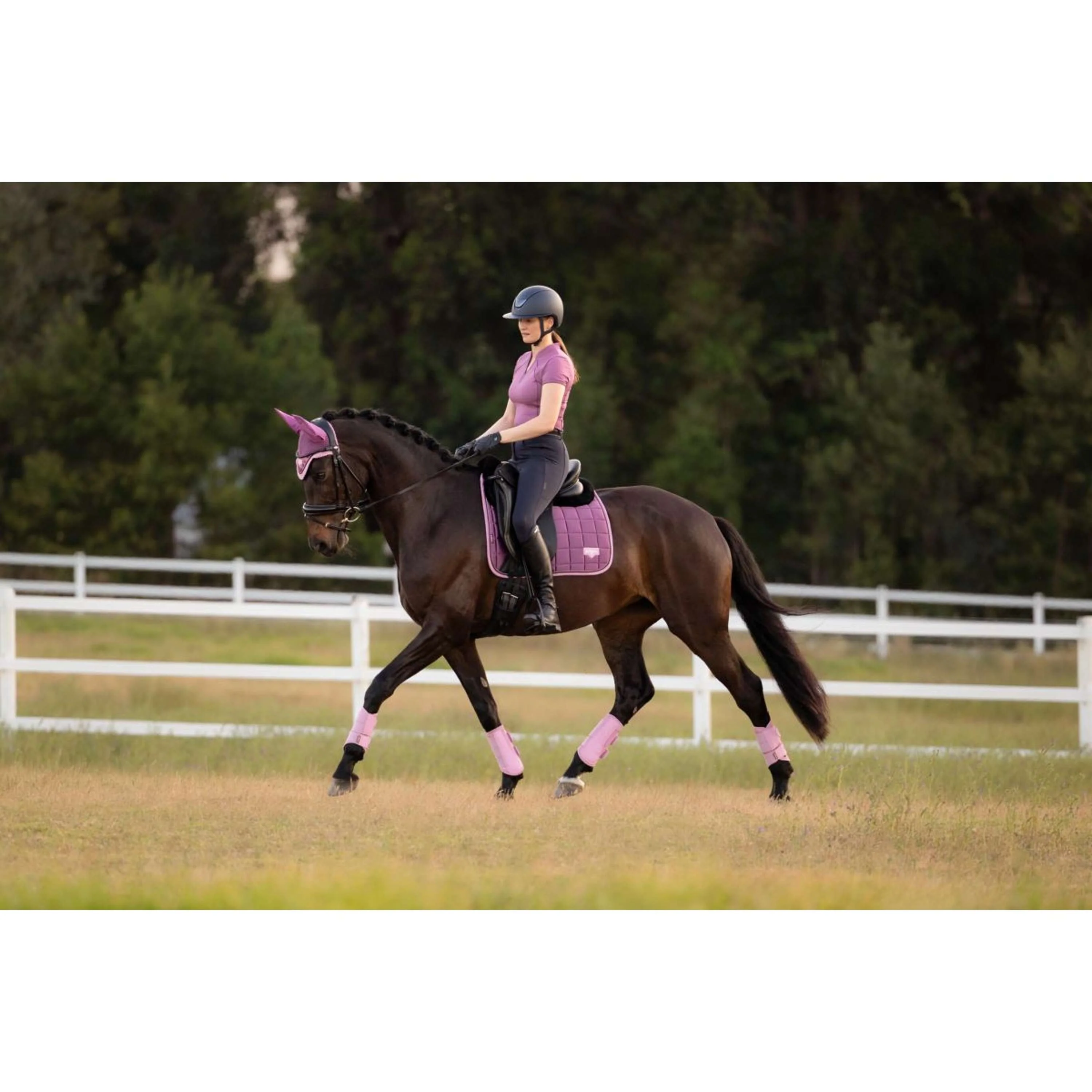 LeMieux Tapis de Selle Loire Classic Square Dressage Mallow - Image 5