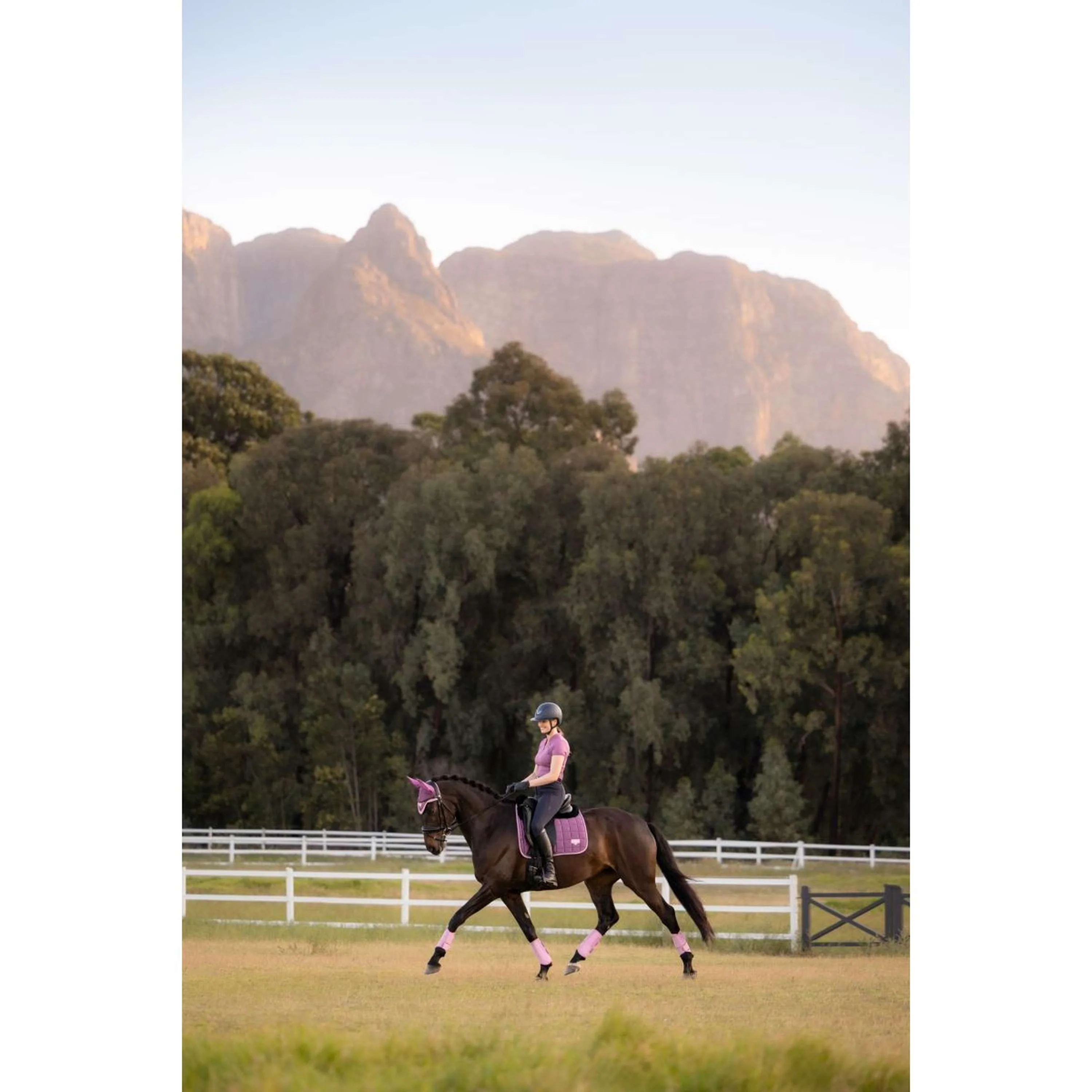LeMieux Tapis de Selle Loire Classic Square Dressage Mallow - Image 6