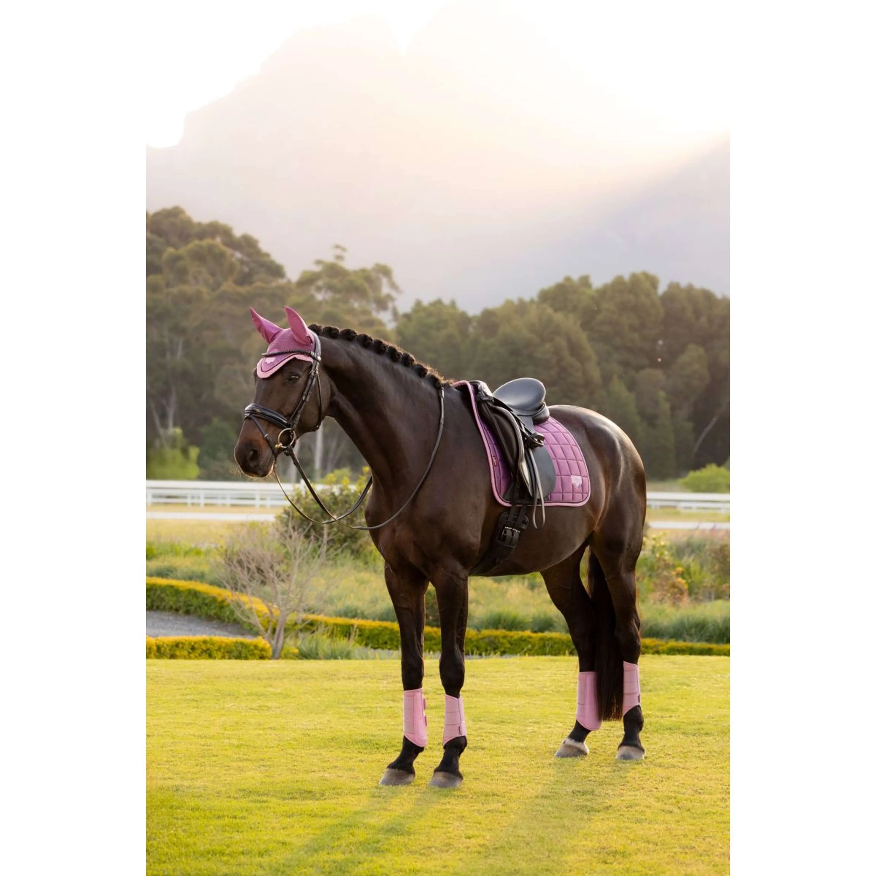 LeMieux Tapis de Selle Loire Classic Square Dressage Mallow - Image 9