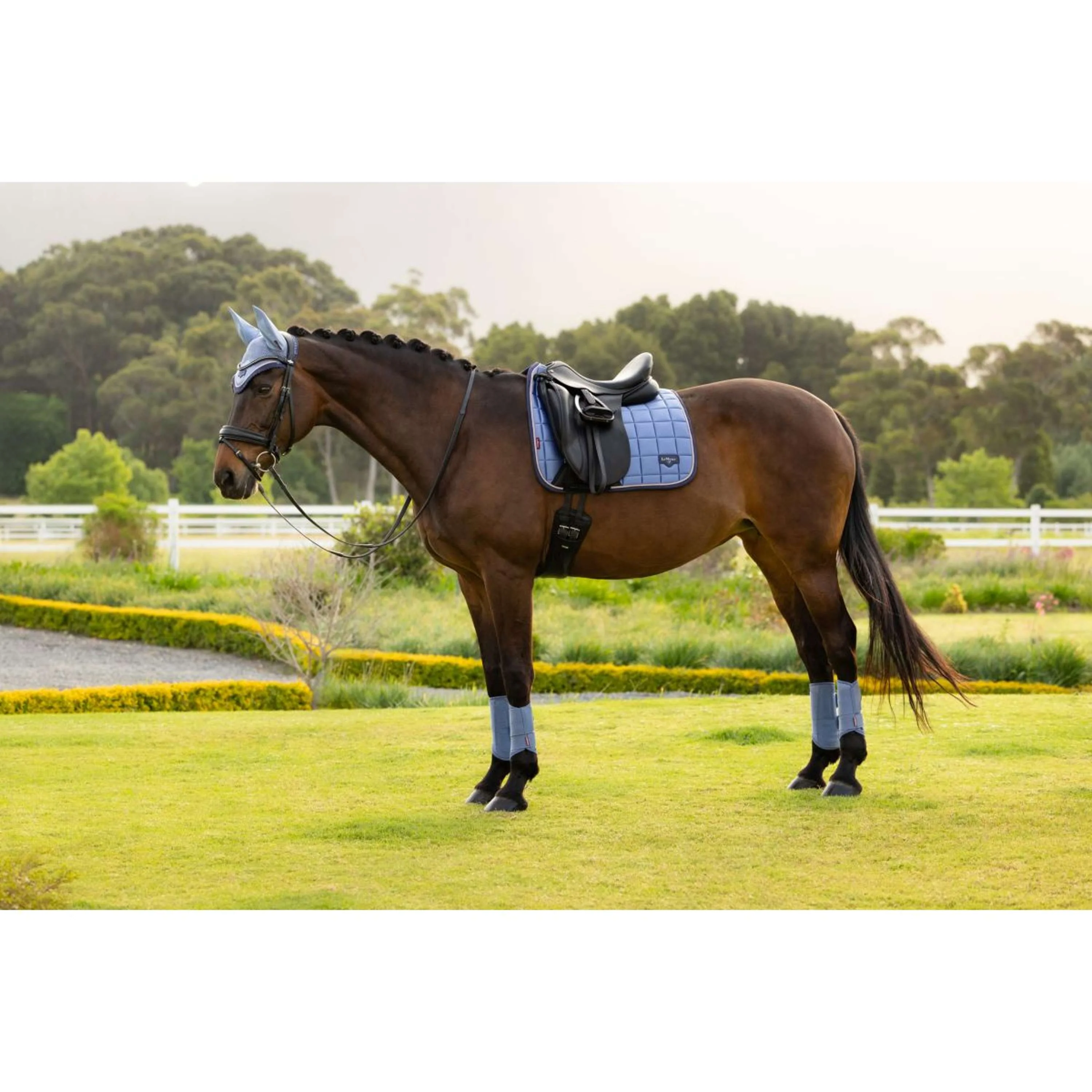 LeMieux Tapis de Selle Loire Classic Square Dressage Powder Blue - Image 11