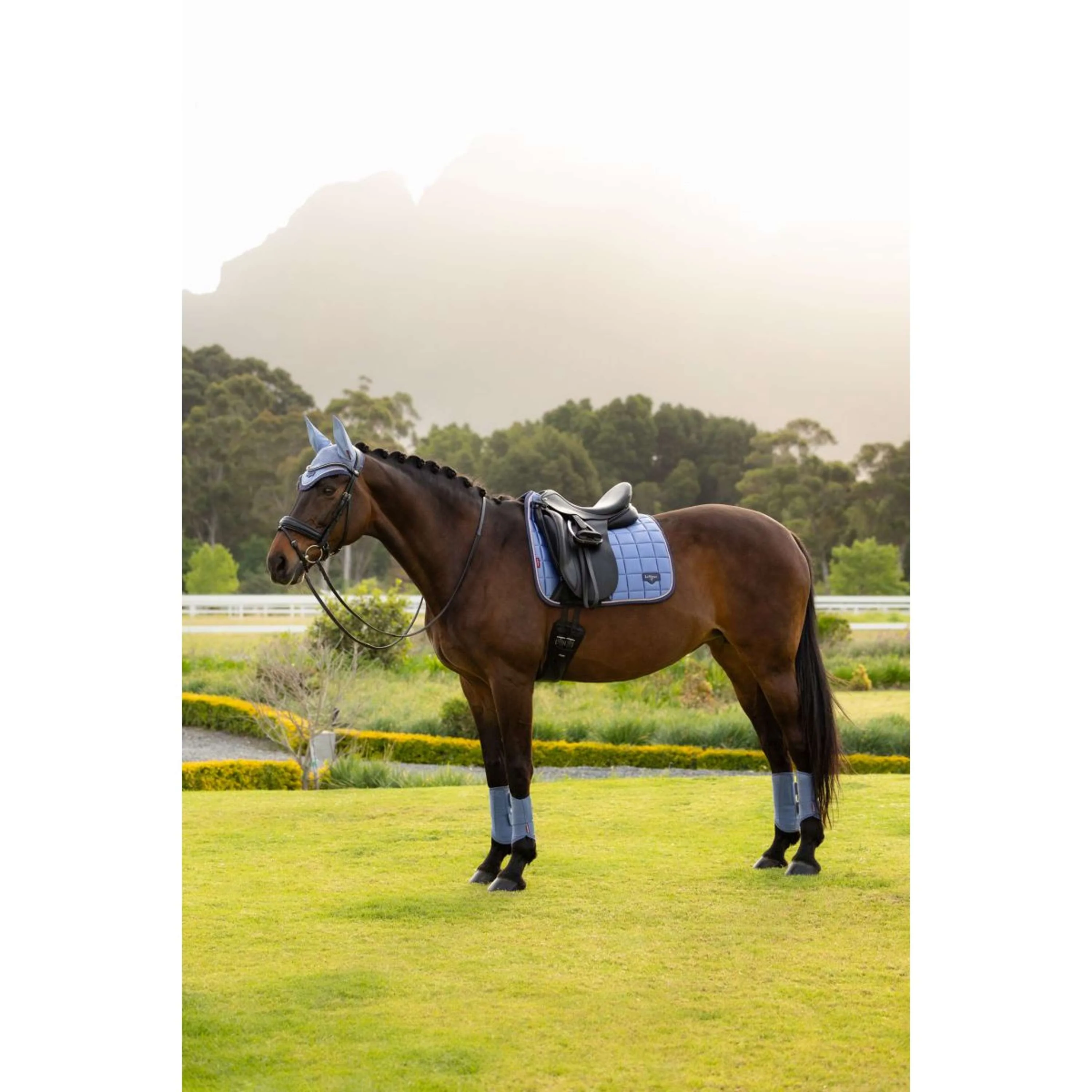 LeMieux Tapis de Selle Loire Classic Square Dressage Powder Blue - Image 12