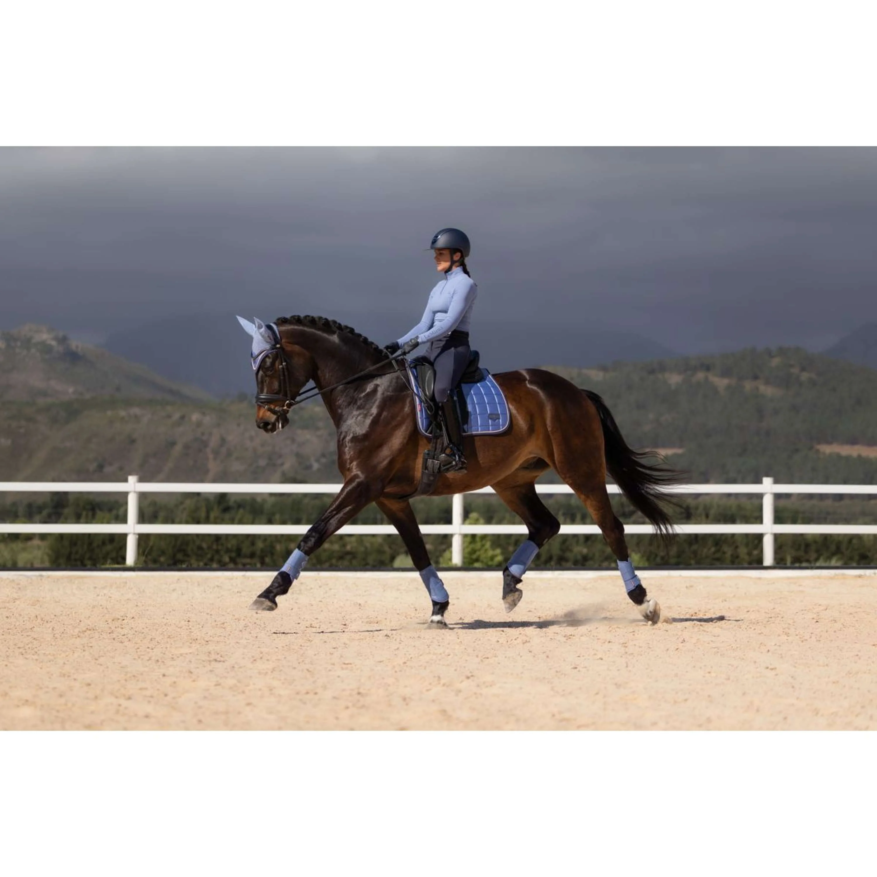 LeMieux Tapis de Selle Loire Classic Square Dressage Powder Blue - Image 3