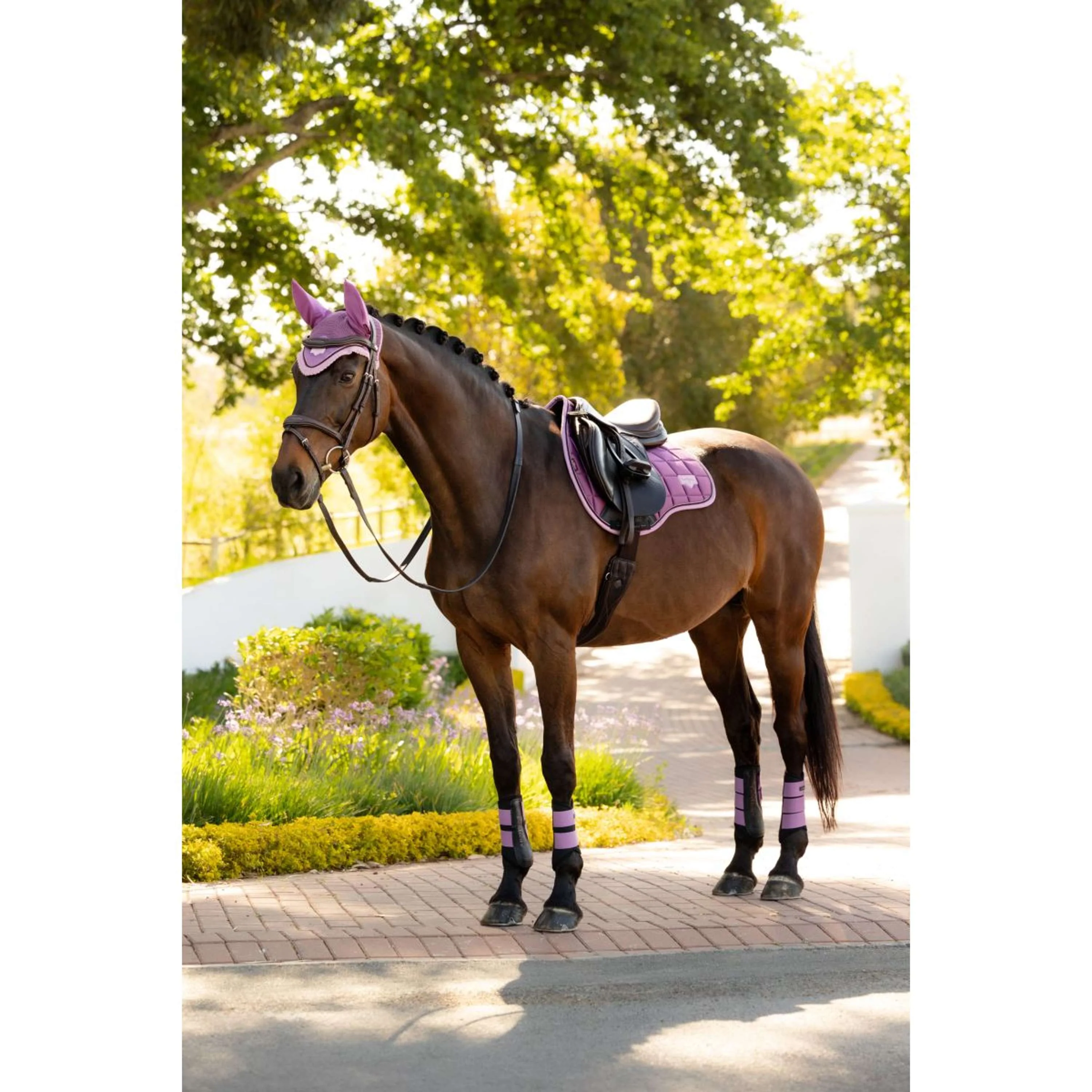 LeMieux Tapis de Selle Loire Classic Square Polyvalent Mallow - Image 8