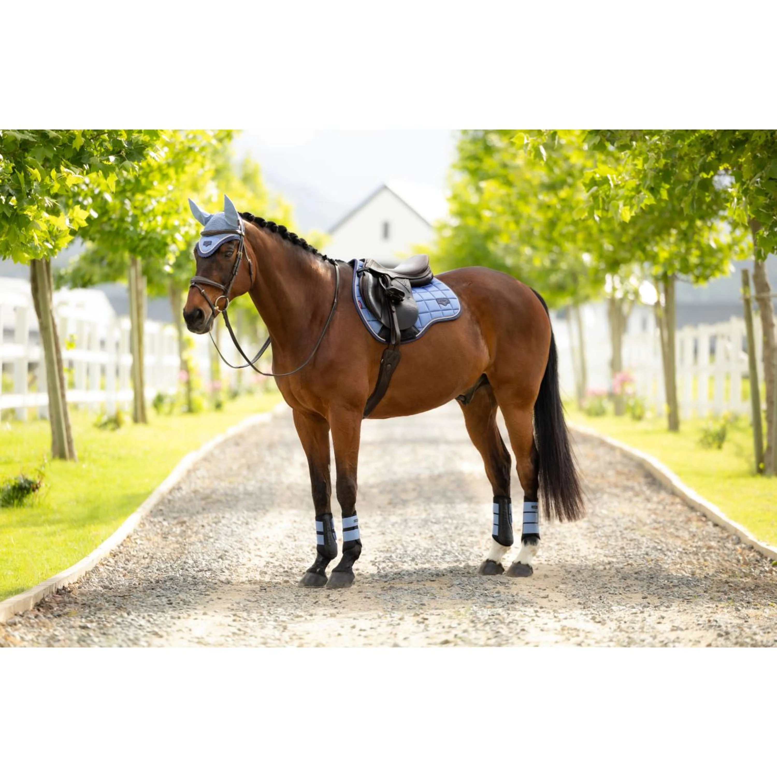 LeMieux Tapis de Selle Loire Classic Square Polyvalent Powder Blue - Image 9