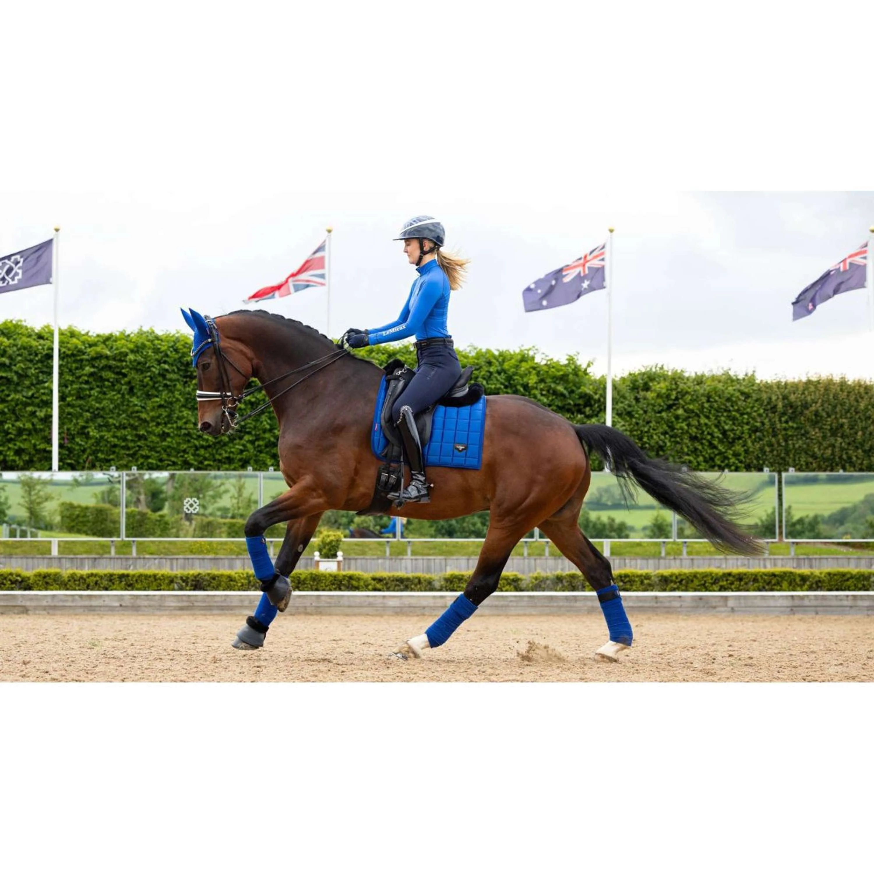 LeMieux Tapis de Selle Loire Dressage Benetton Blue - Image 4
