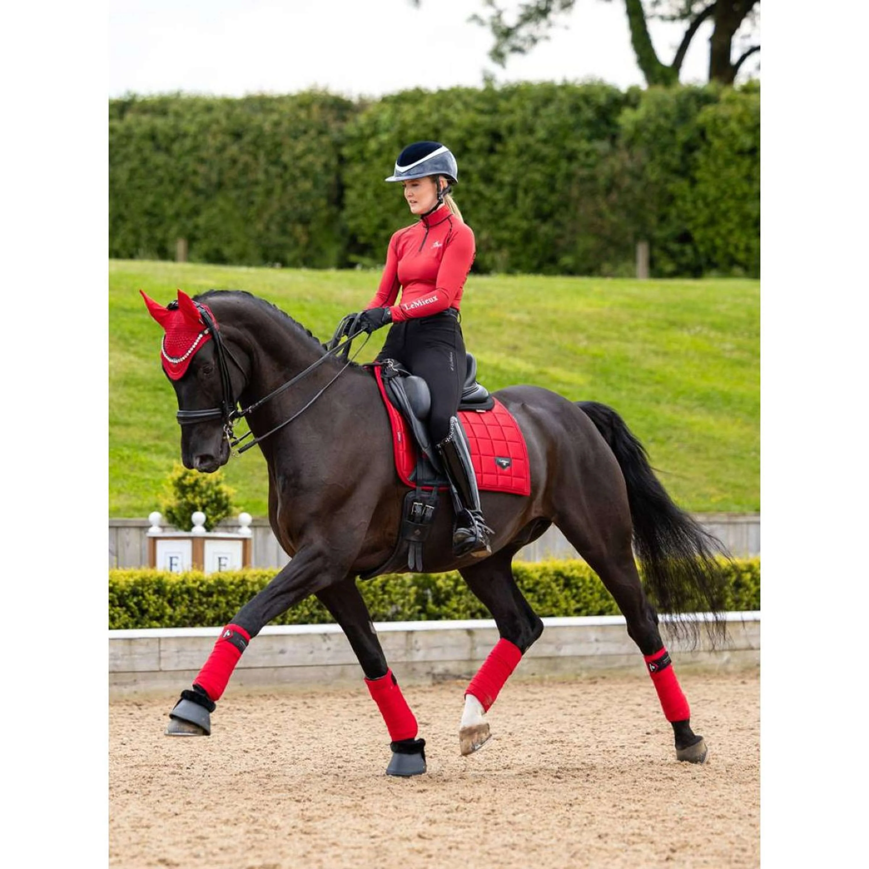 LeMieux Tapis de Selle Loire Dressage Chilli - Image 2