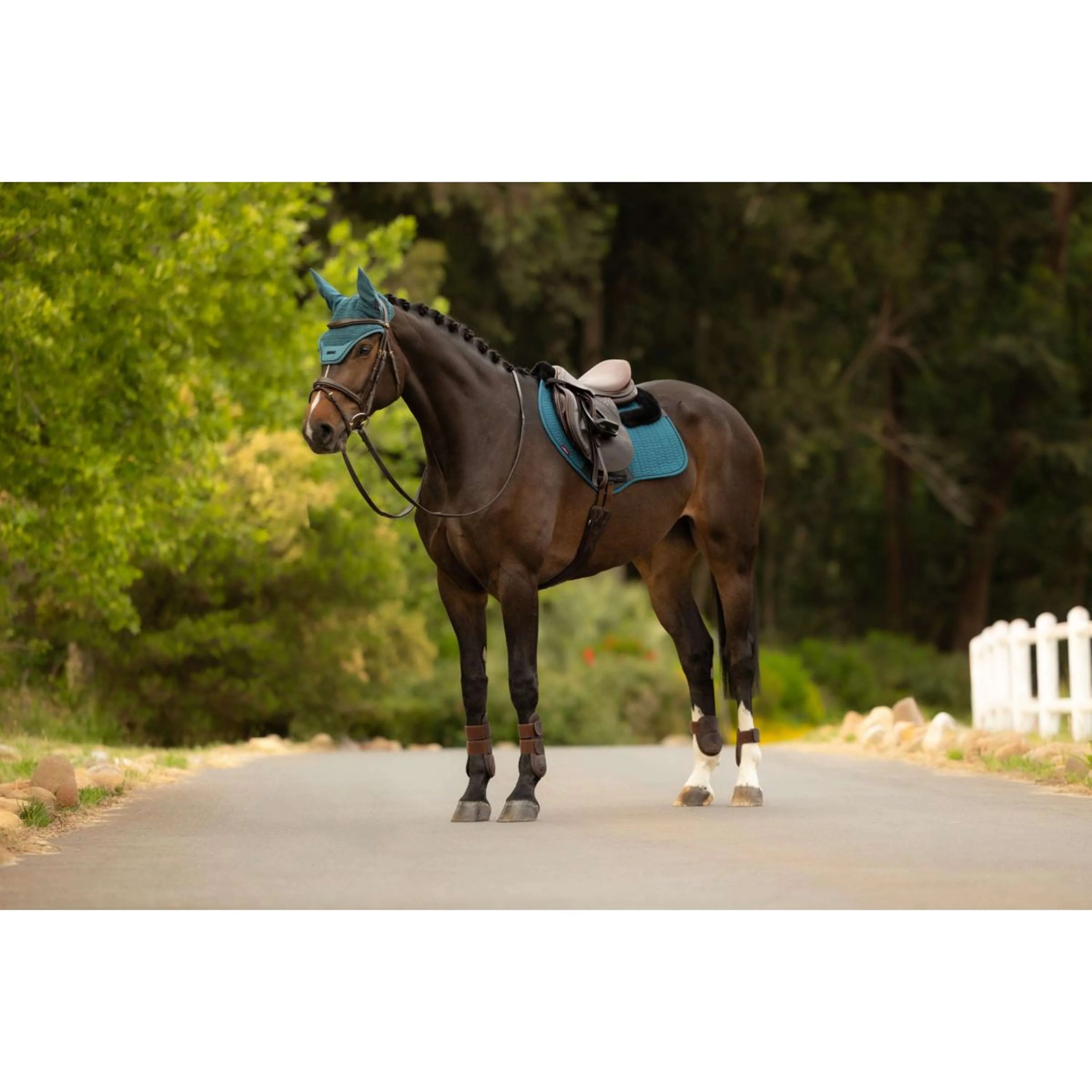 LeMieux Tapis de Selle Merino+ Essence Close Contact Square de Saut Jungle - Image 5