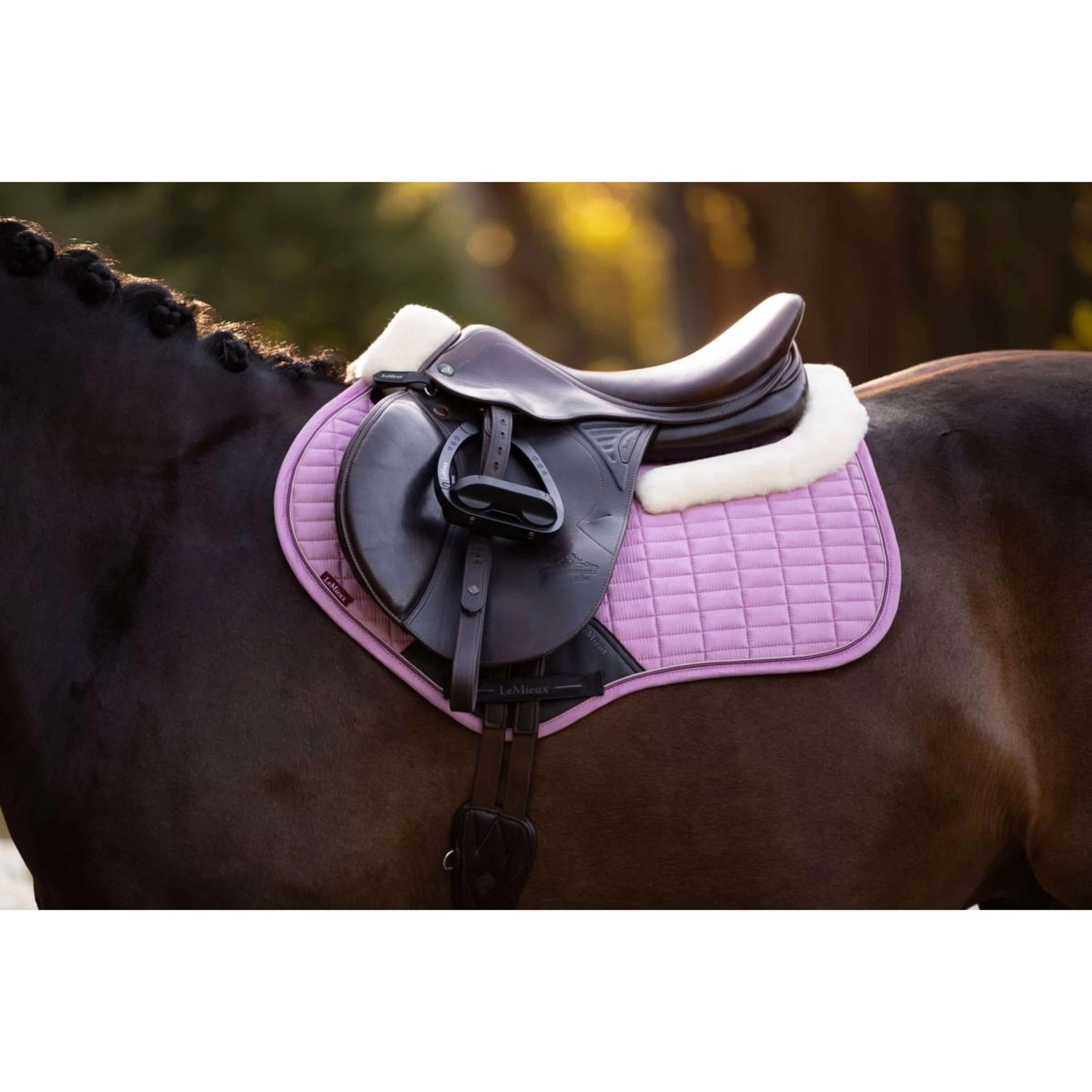 LeMieux Tapis de Selle Merino+ Suede Close Contact Square de Saut Fondant - Image 2