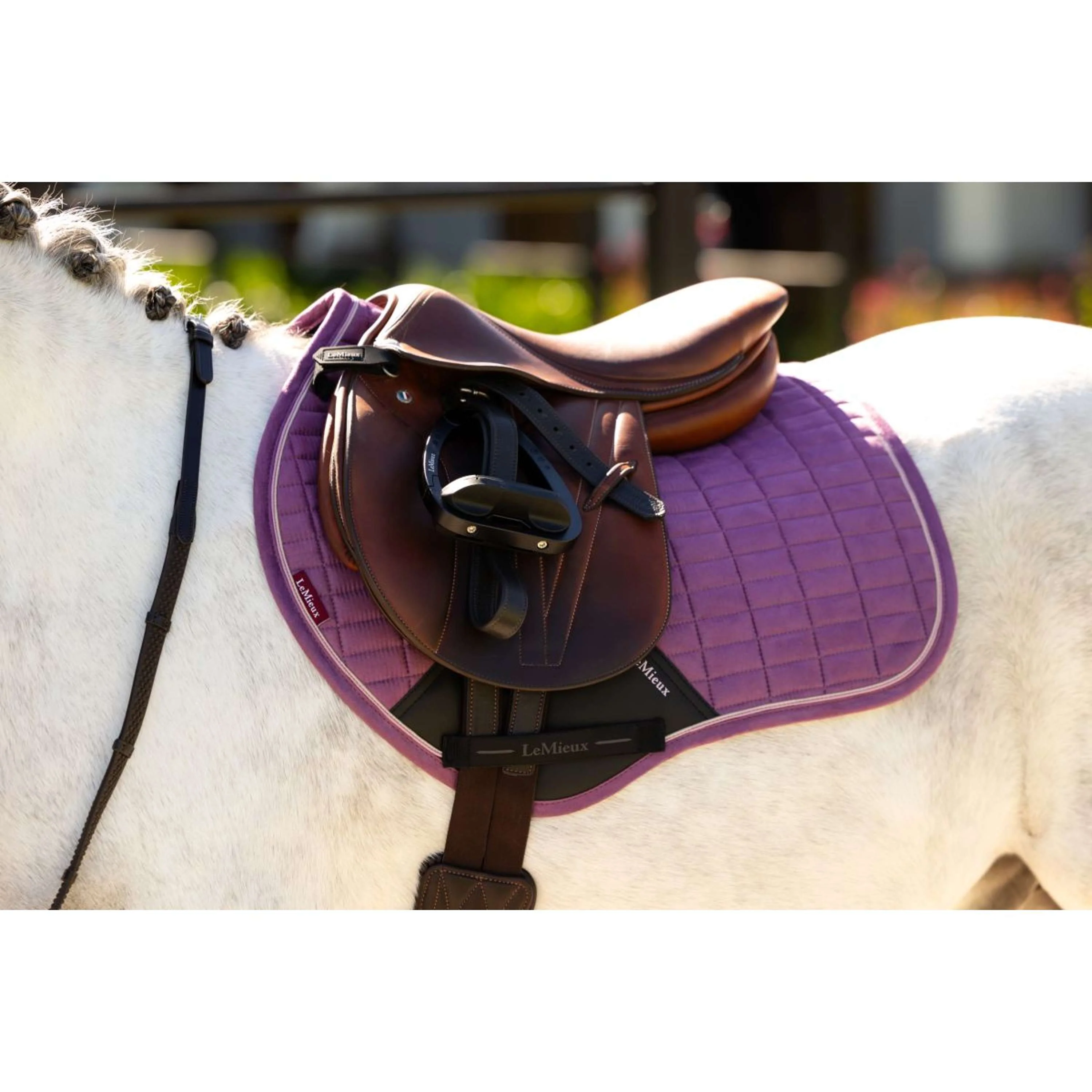 LeMieux Tapis de Selle Mini Suede Close Contact Square de Saut Mallow - Image 2