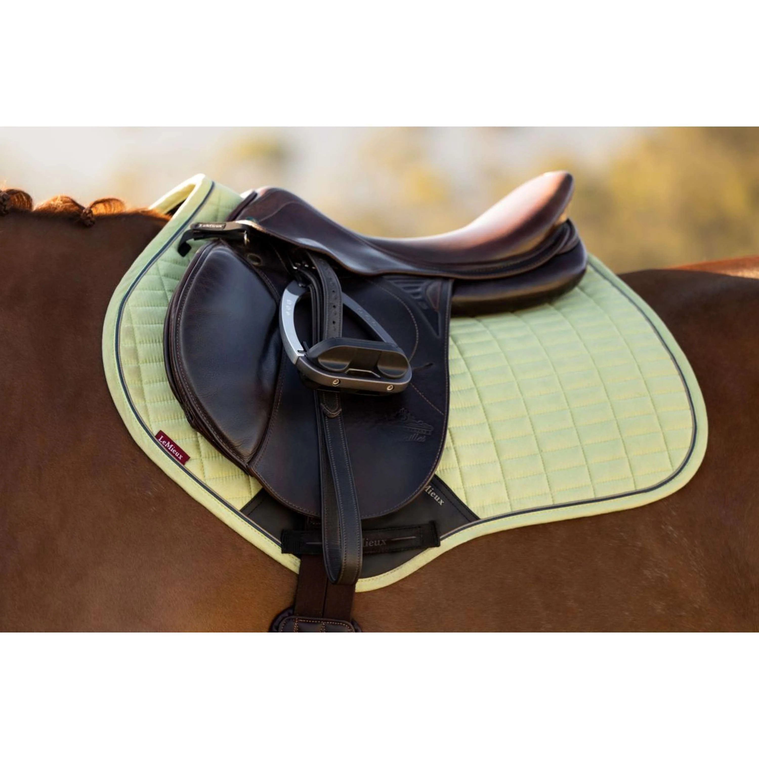 LeMieux Tapis de Selle Suede Close Contact Square de Saut Macaron - Image 2