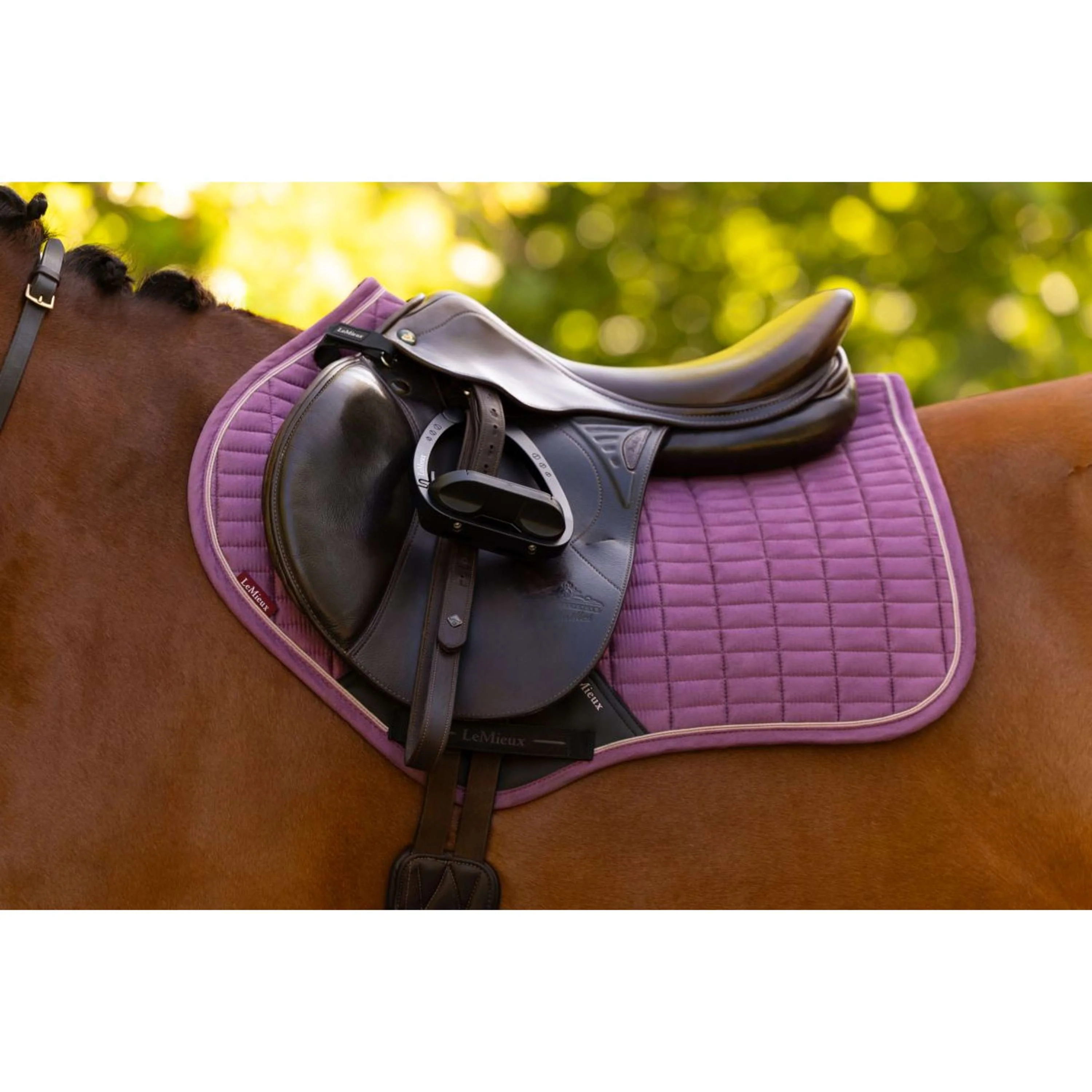 LeMieux Tapis de Selle Suede Close Contact Square de Saut Mallow - Image 2