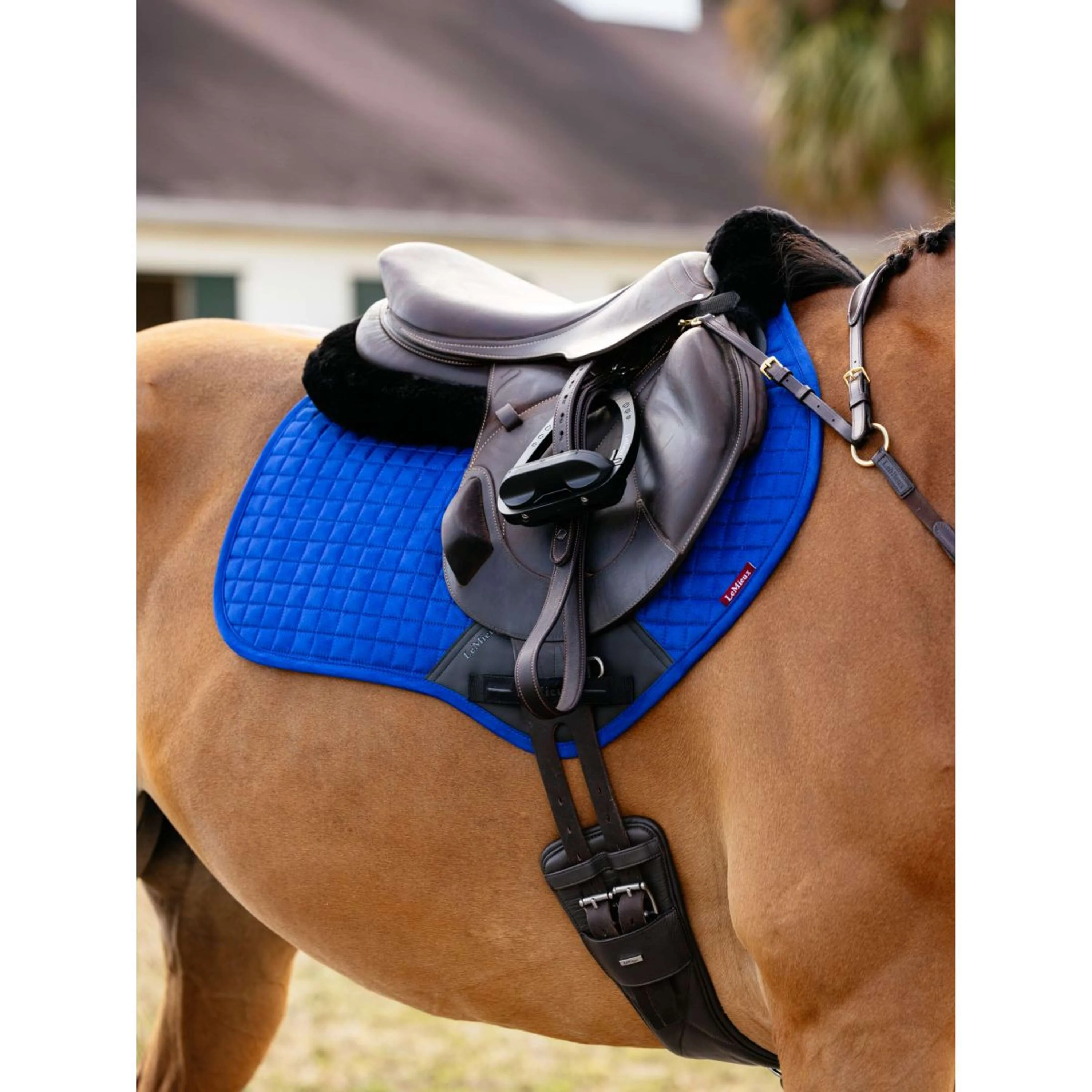 LeMieux Tapis de Selle Suede Square Close Contact Benetton - Image 2