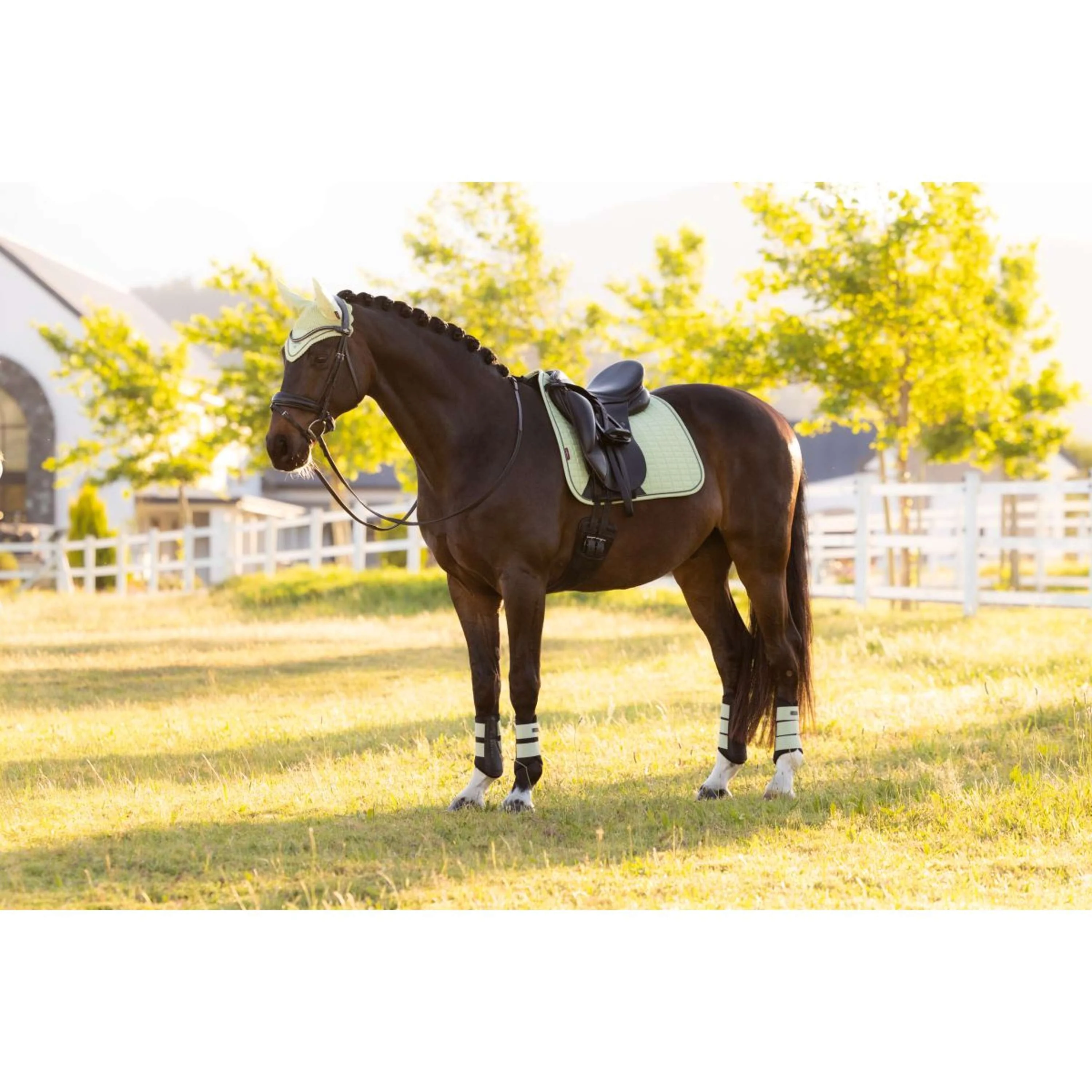 LeMieux Tapis de Selle Suede Square Dressage Macaron - Image 12