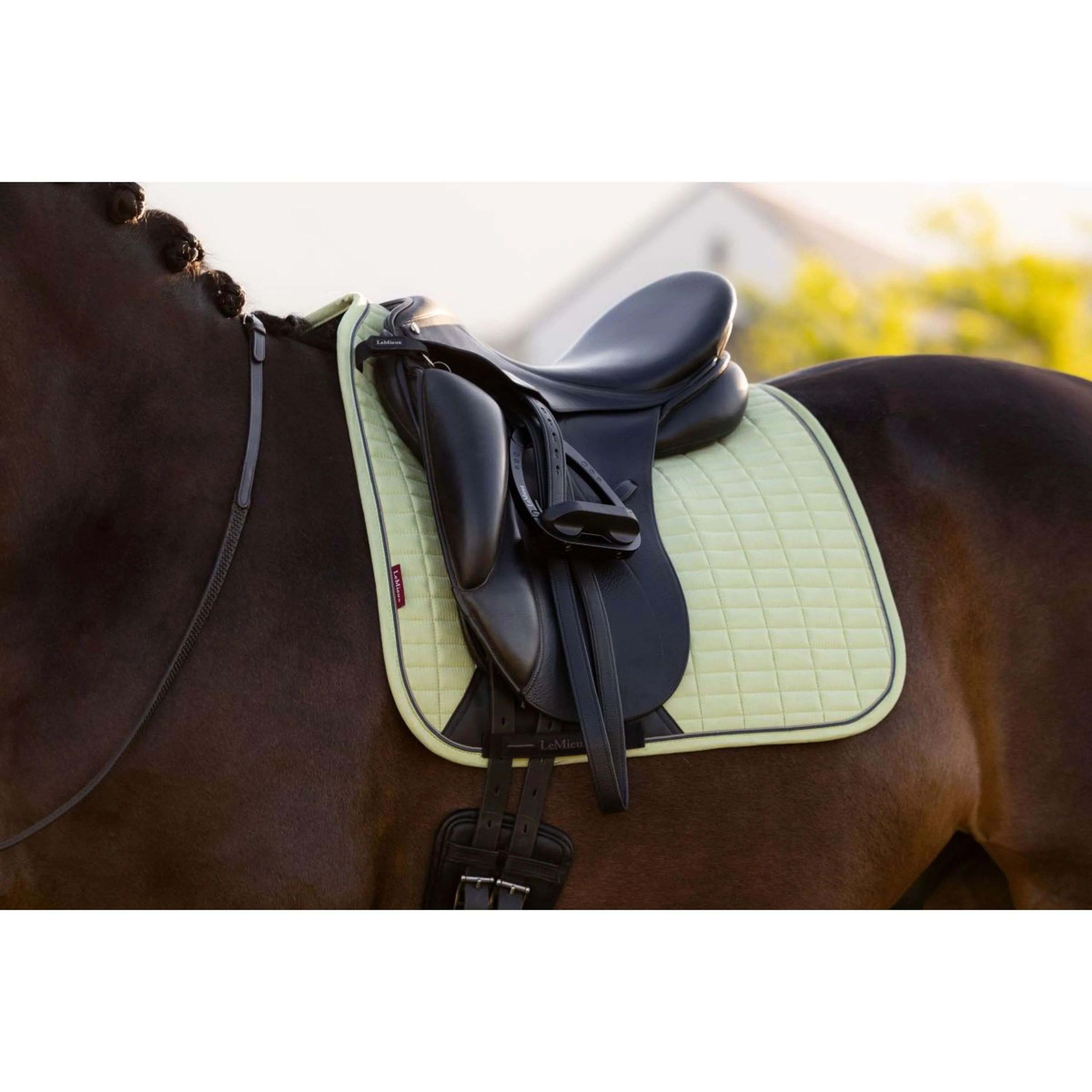 LeMieux Tapis de Selle Suede Square Dressage Macaron - Image 2