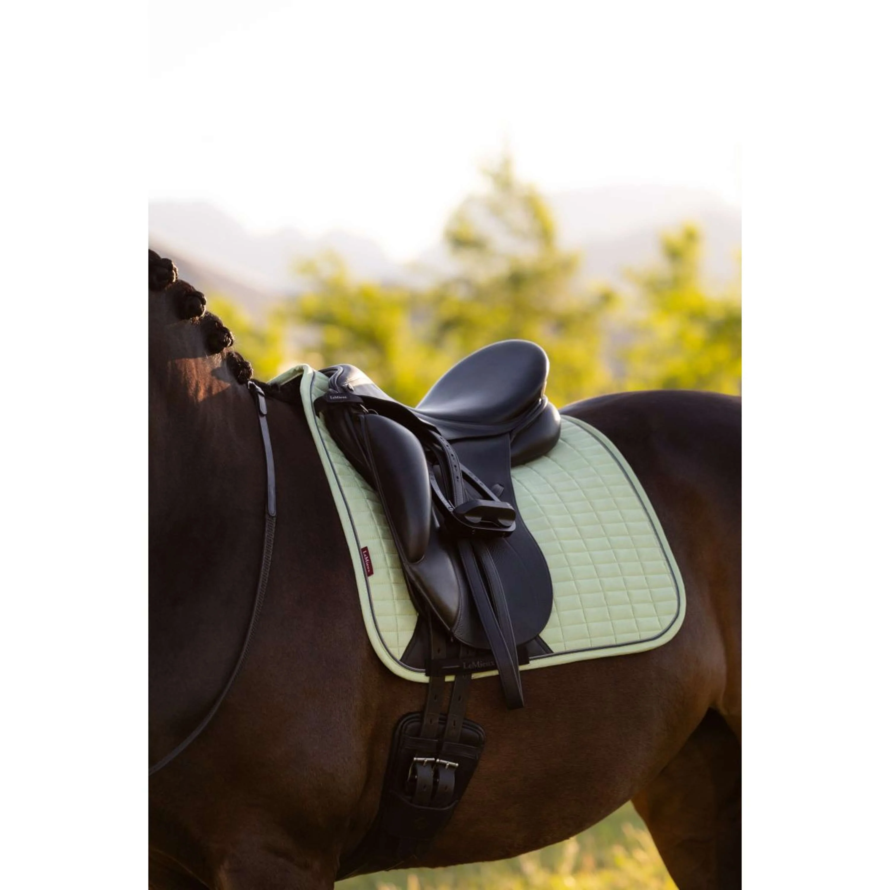 LeMieux Tapis de Selle Suede Square Dressage Macaron - Image 3