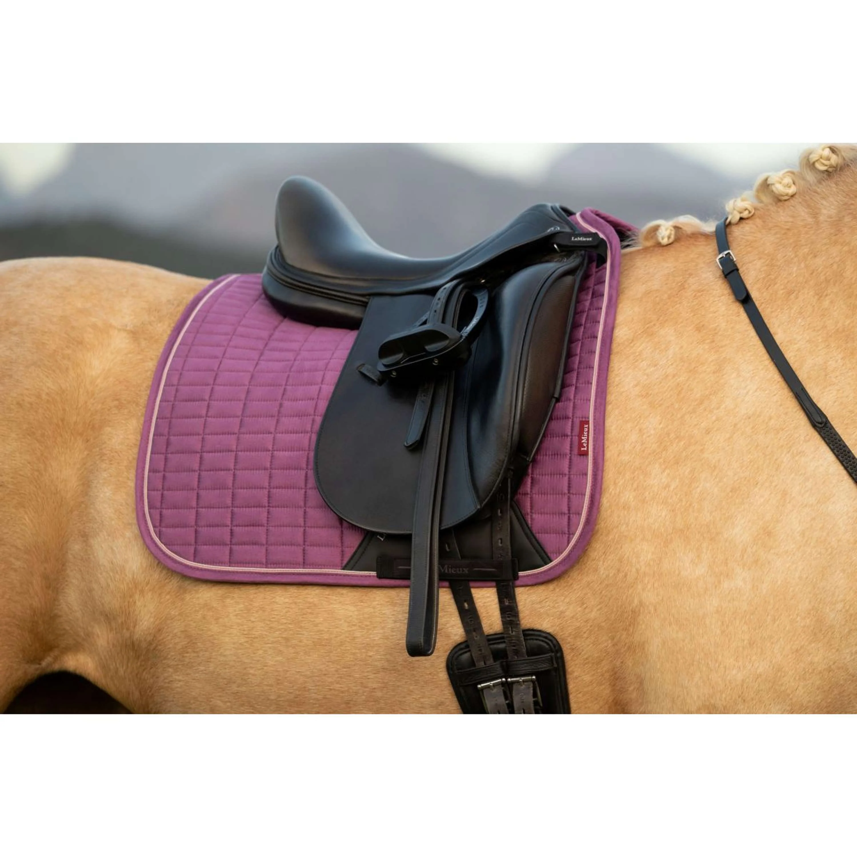 LeMieux Tapis de Selle Suede Square Dressage Mallow - Image 2