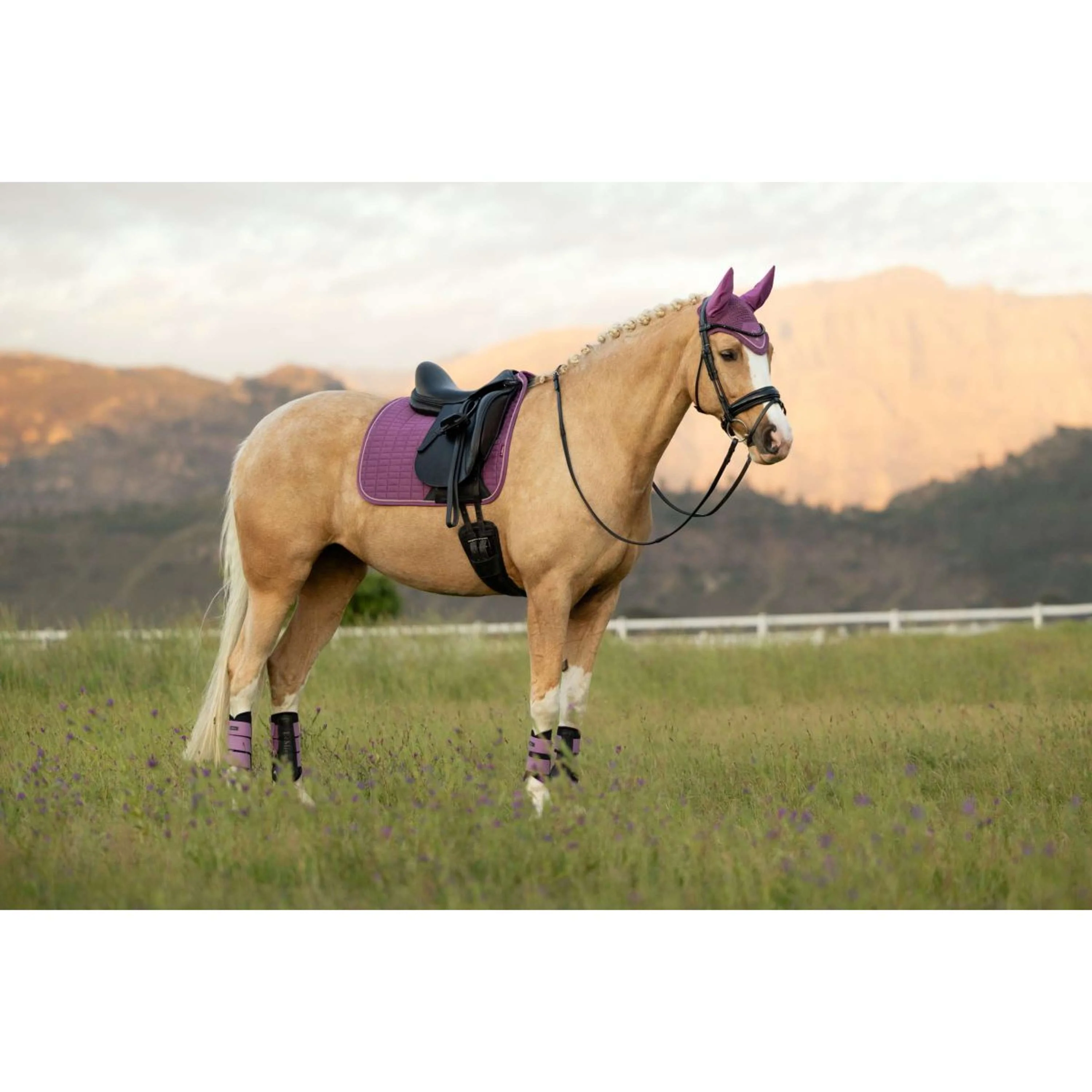 LeMieux Tapis de Selle Suede Square Dressage Mallow - Image 3