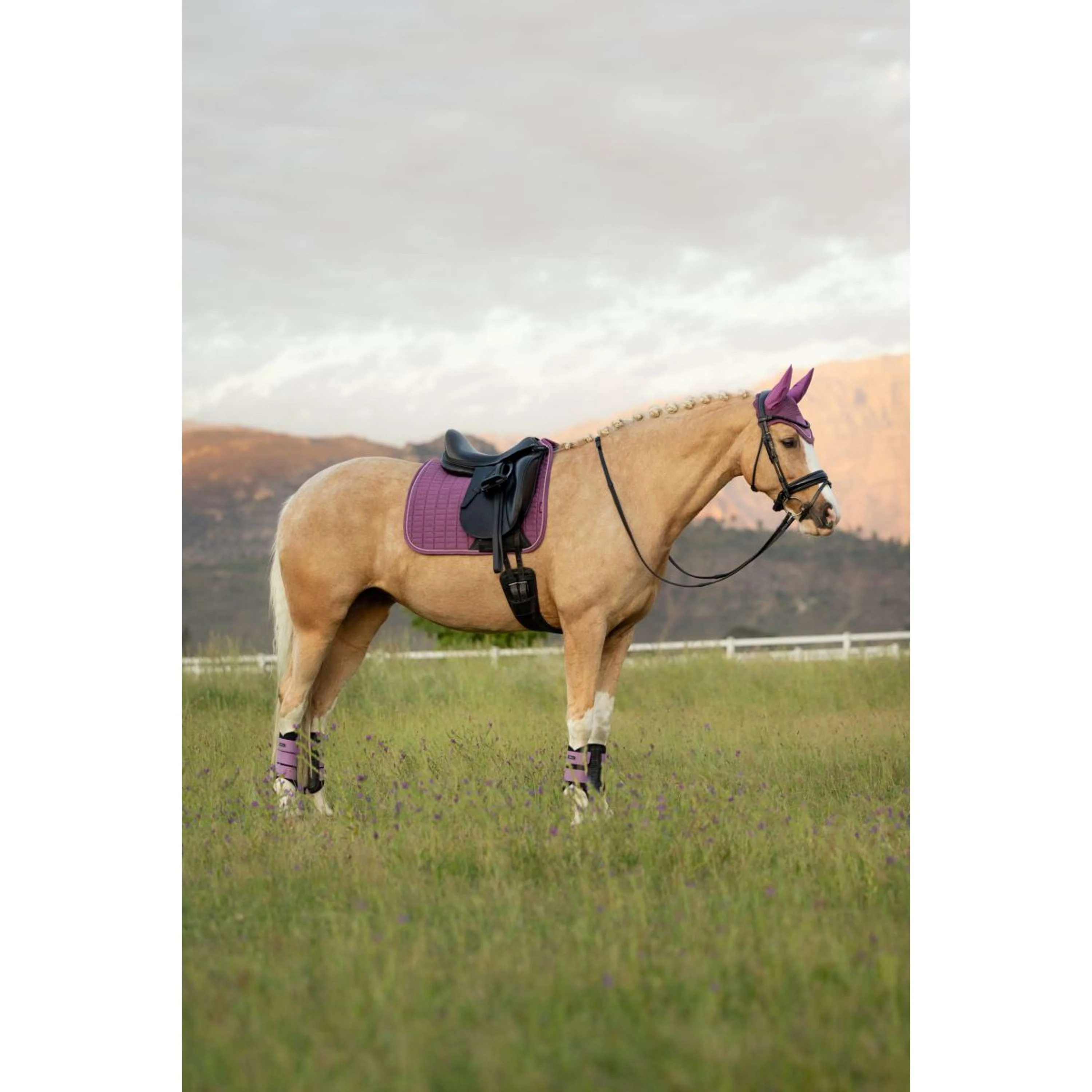 LeMieux Tapis de Selle Suede Square Dressage Mallow - Image 5