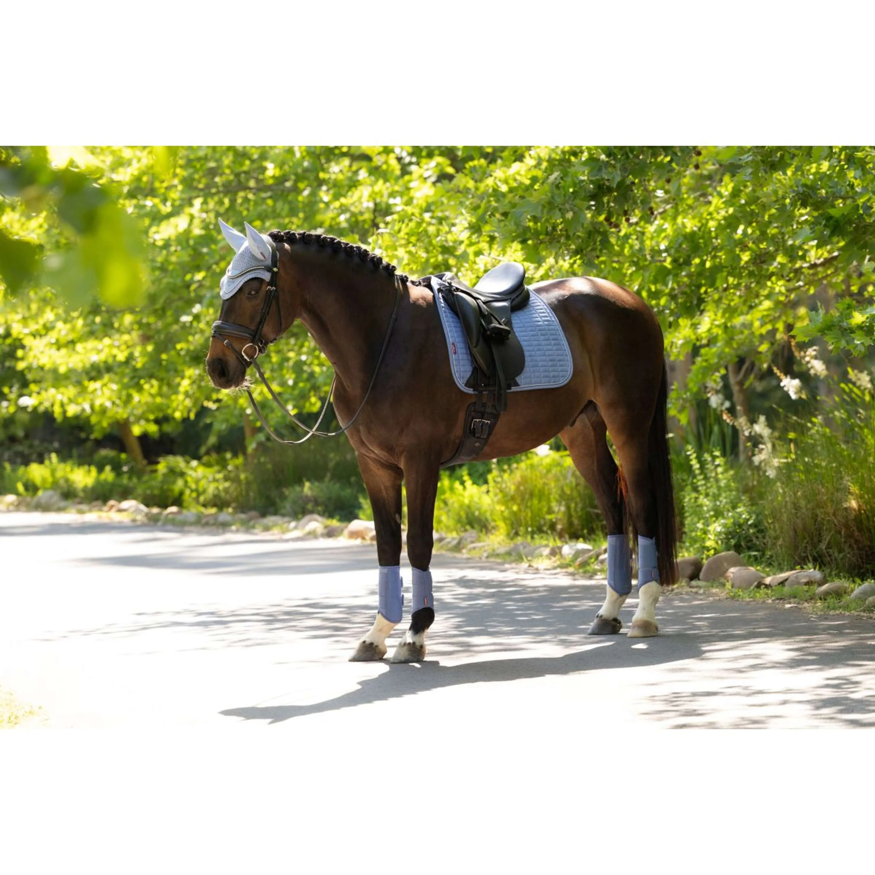 LeMieux Tapis de Selle Suede Square Dressage Powder Blue - Image 10
