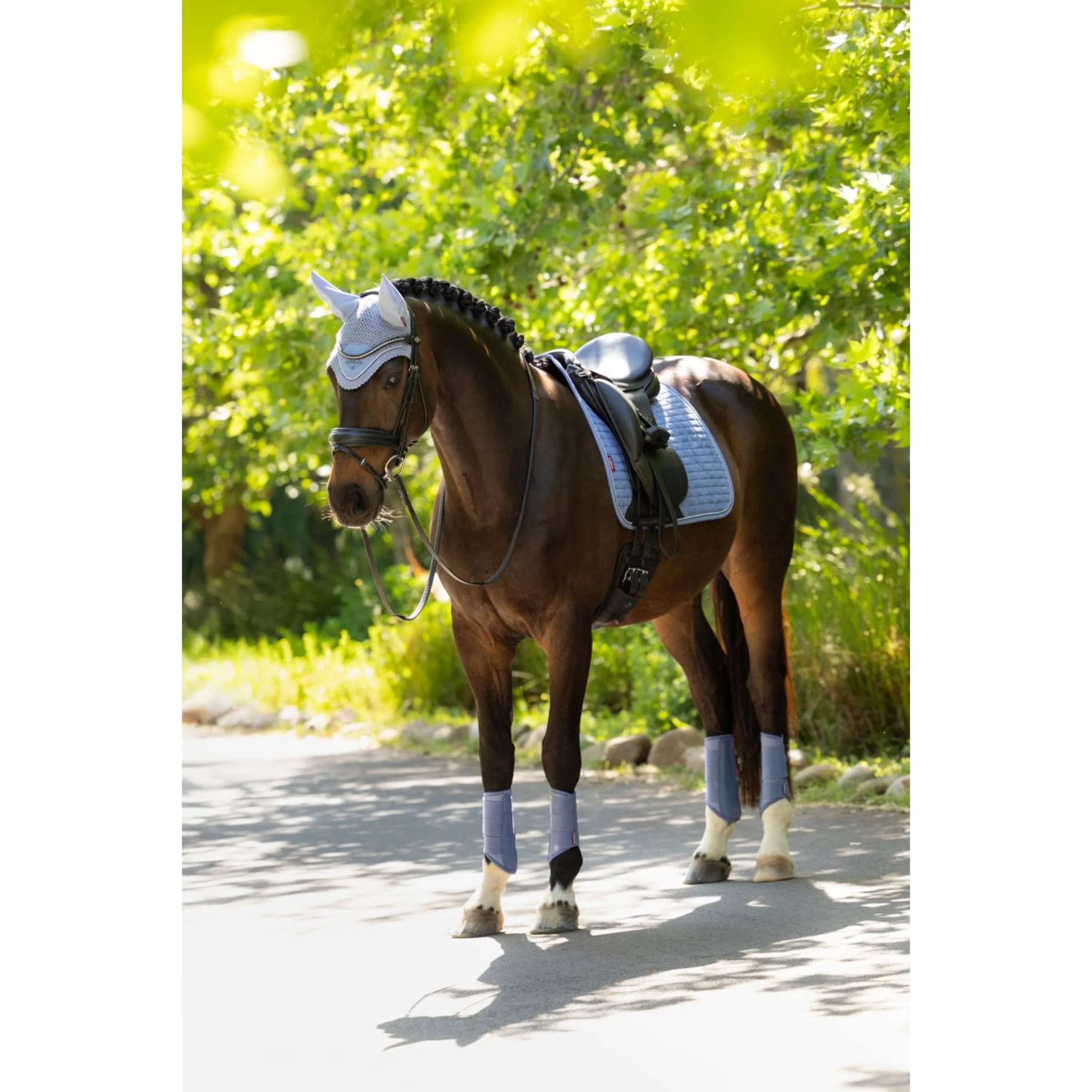 LeMieux Tapis de Selle Suede Square Dressage Powder Blue - Image 3