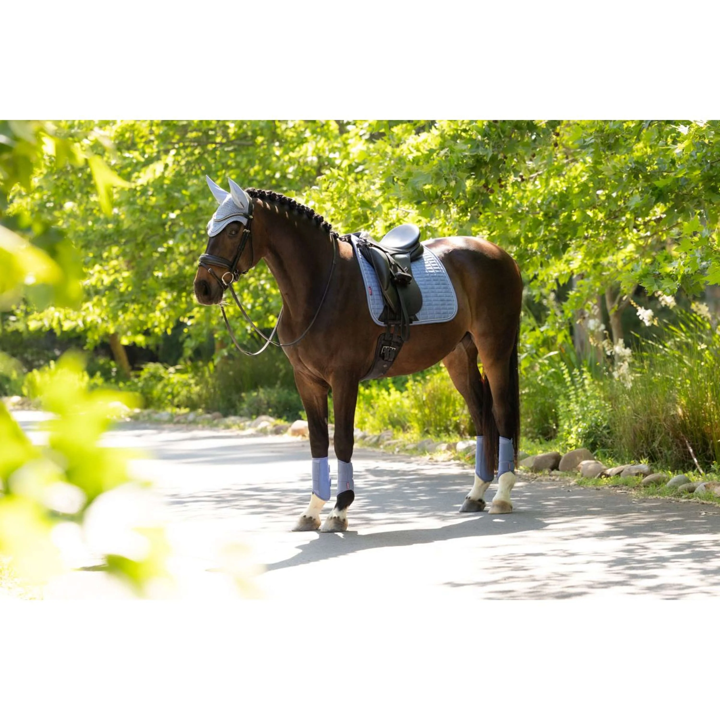 LeMieux Tapis de Selle Suede Square Dressage Powder Blue - Image 9