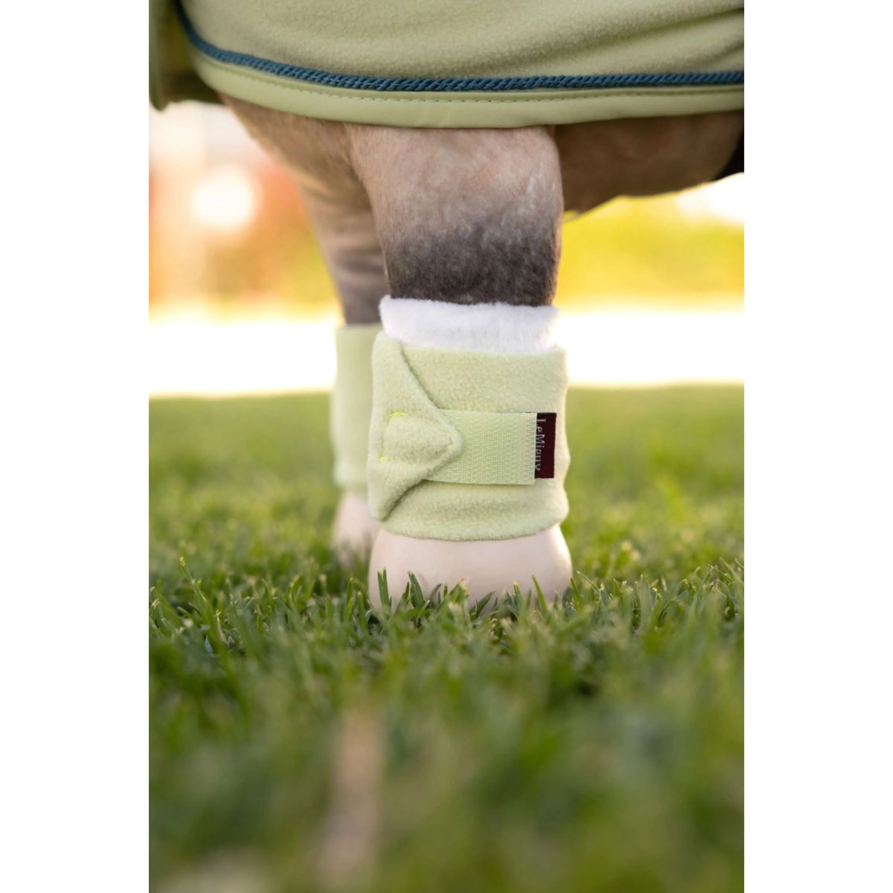 LeMieux Toy Pony Bandages Macaron - Image 2