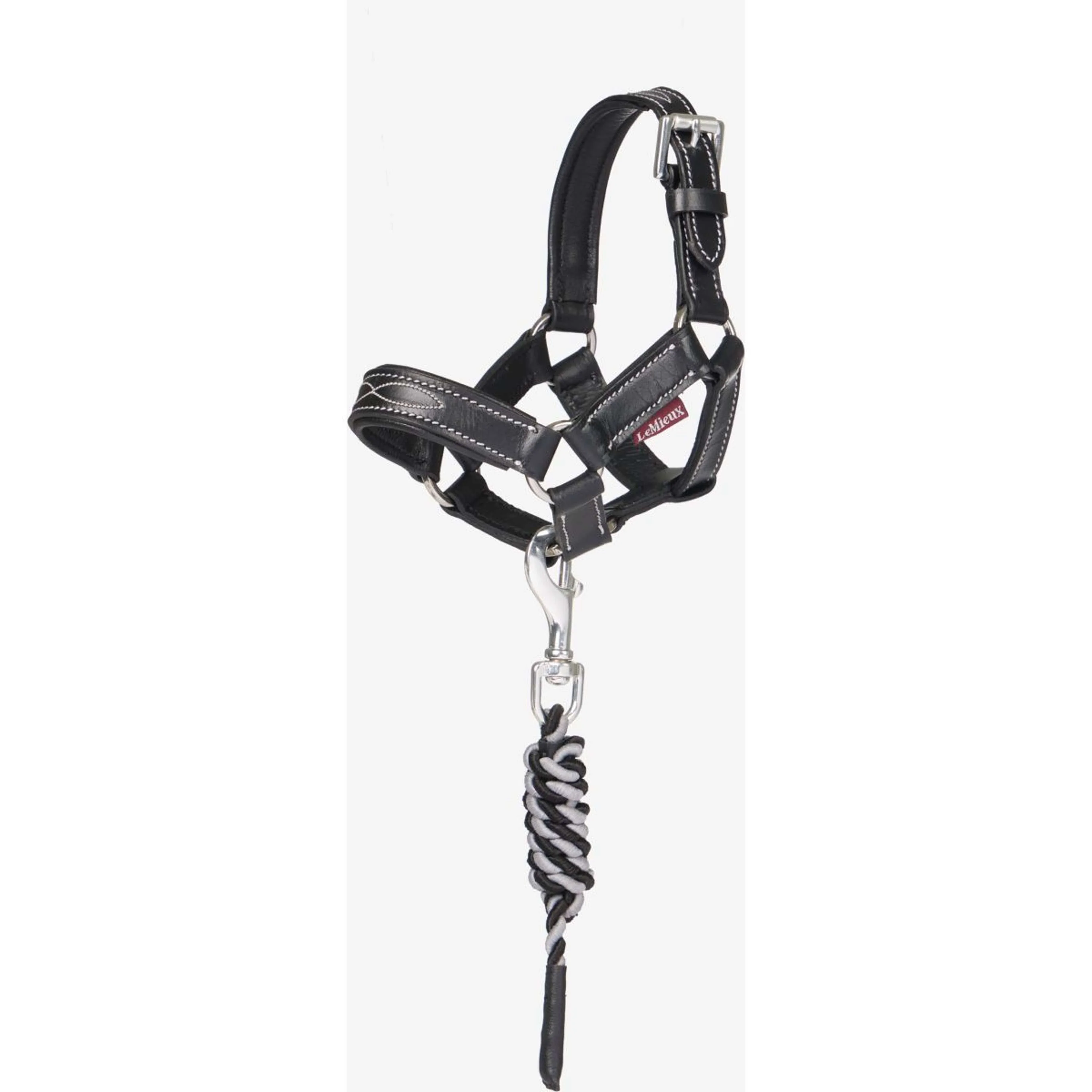 LeMieux Toy Pony Licol Noir - Image 3