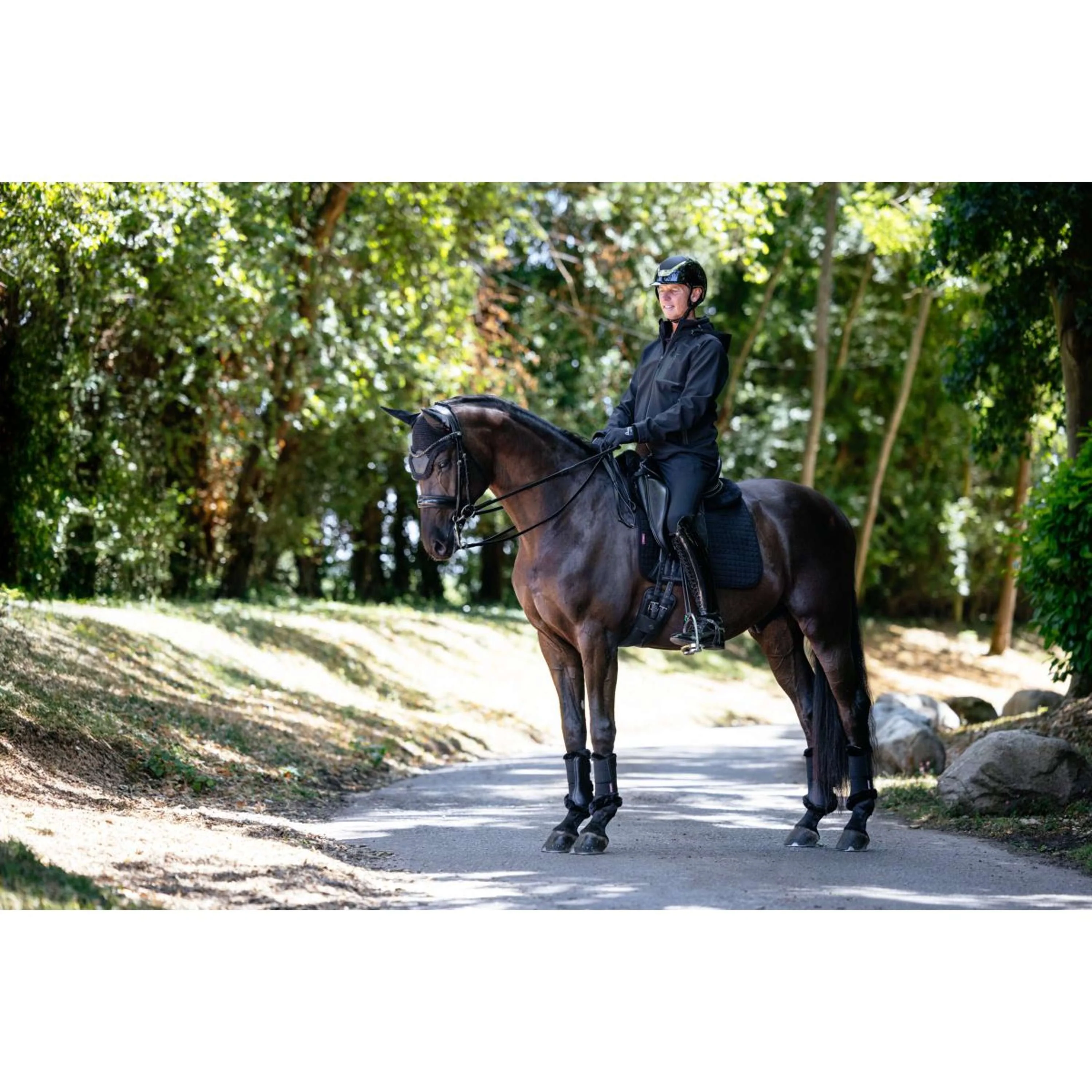 LeMieux Veste Softshell Hommes Noir - Image 6