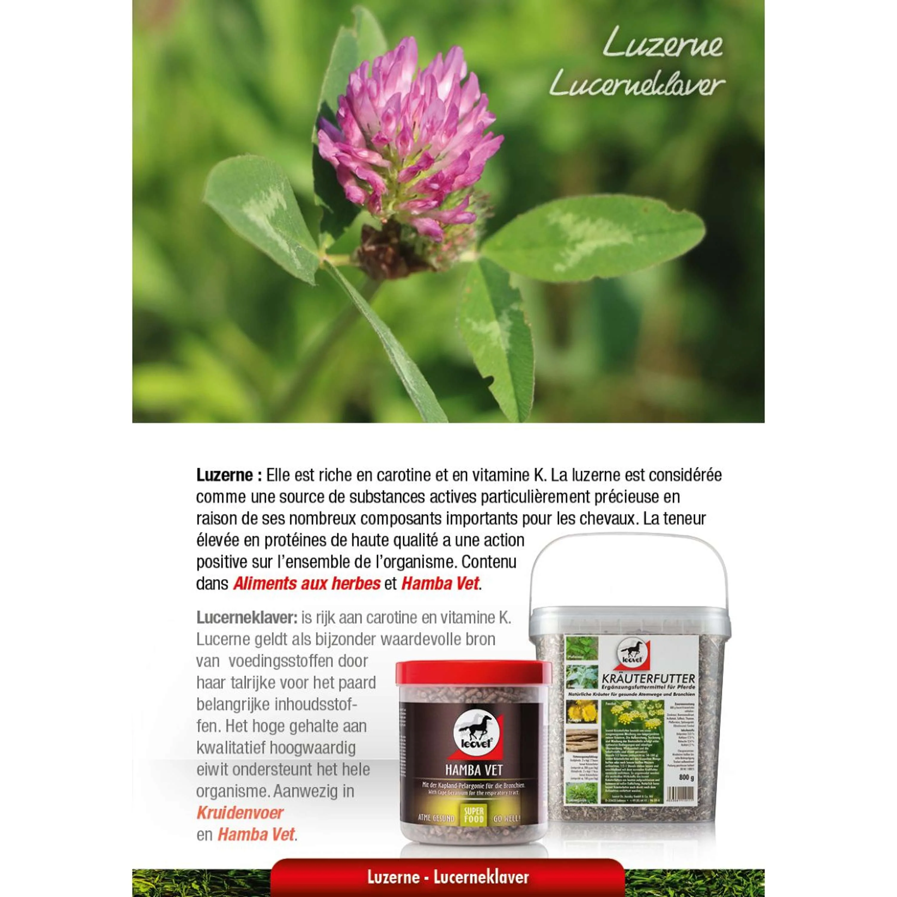 Leovet Aliment aux Plantes Aromatiques - Image 10