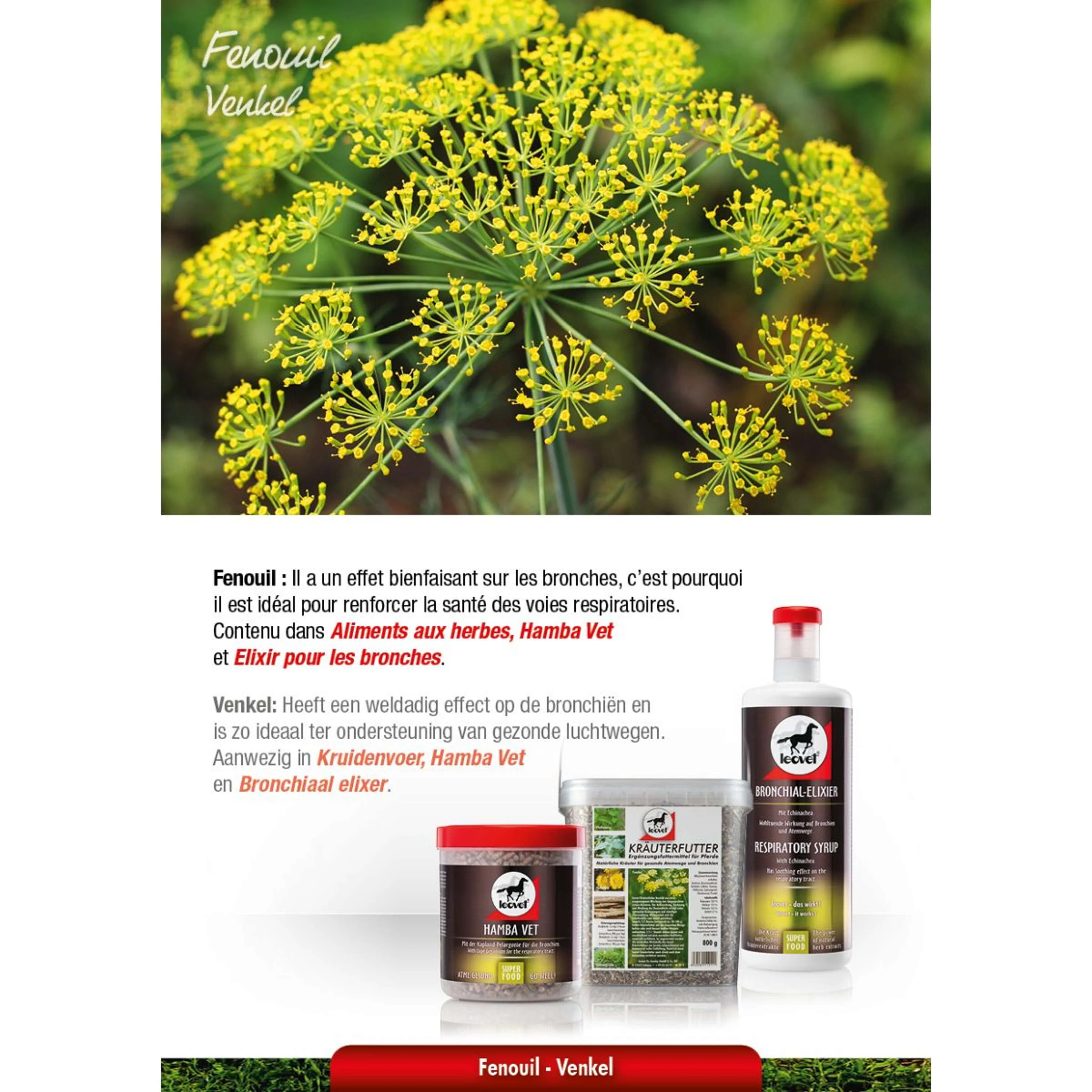 Leovet Aliment aux Plantes Aromatiques - Image 3