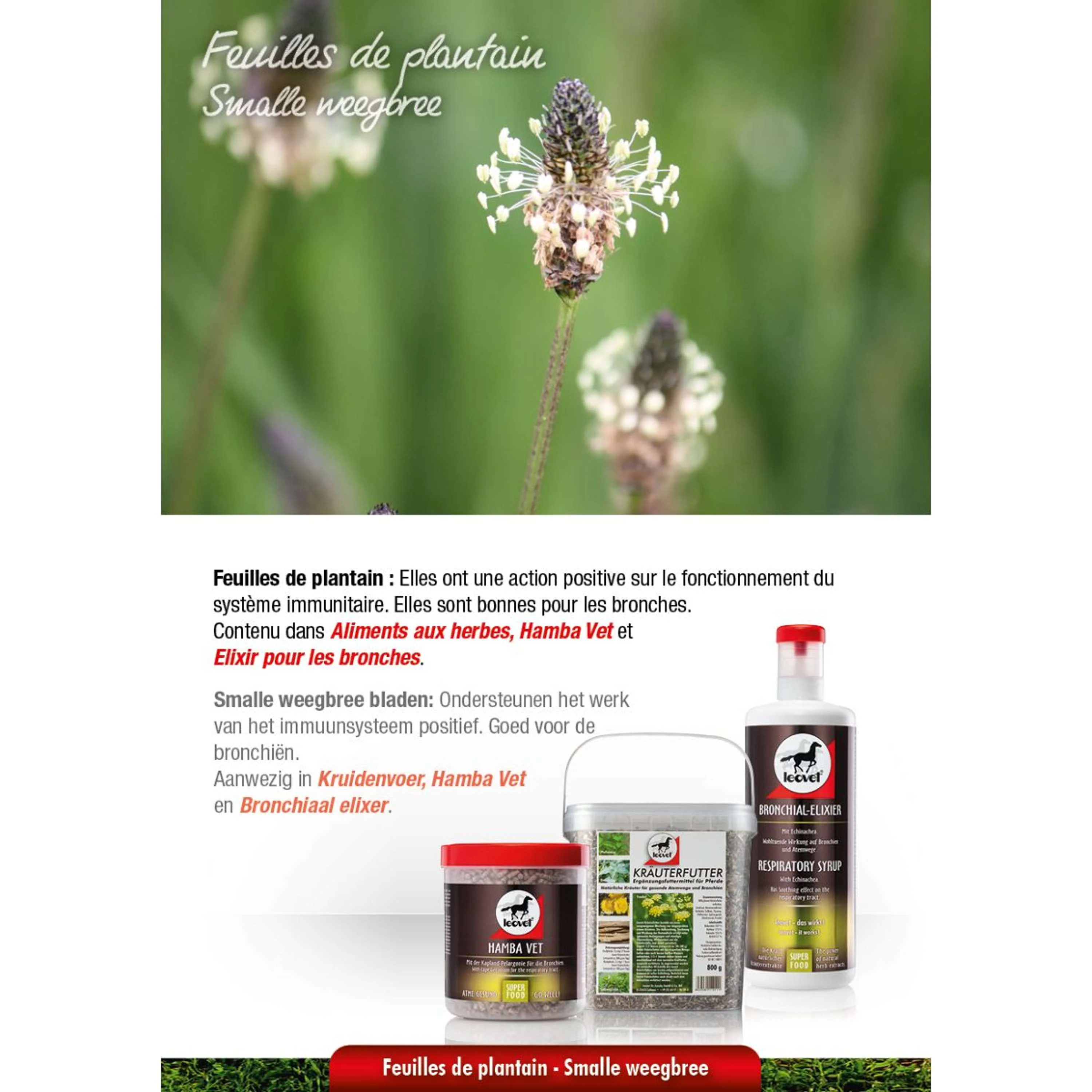 Leovet Aliment aux Plantes Aromatiques - Image 4