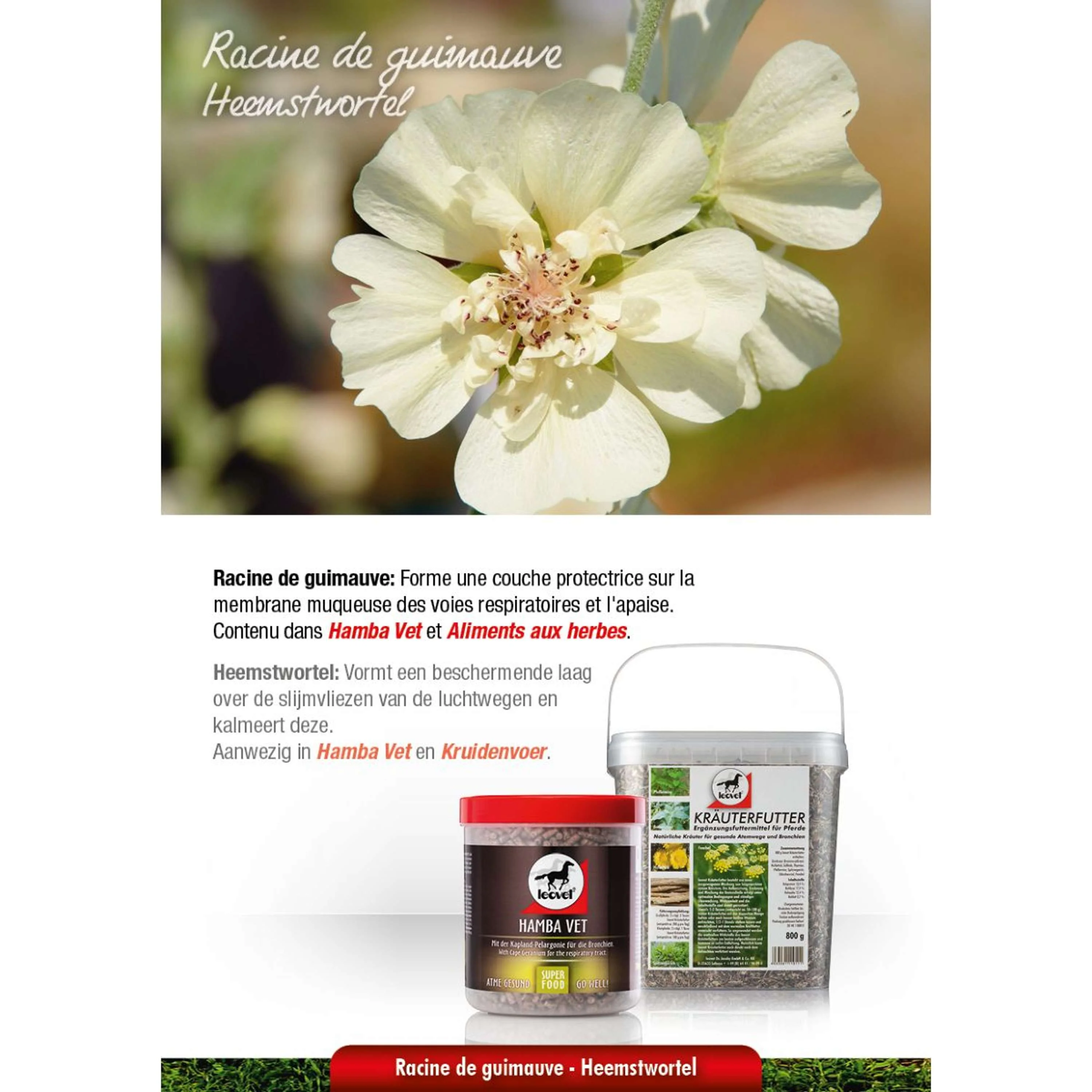 Leovet Aliment aux Plantes Aromatiques - Image 7