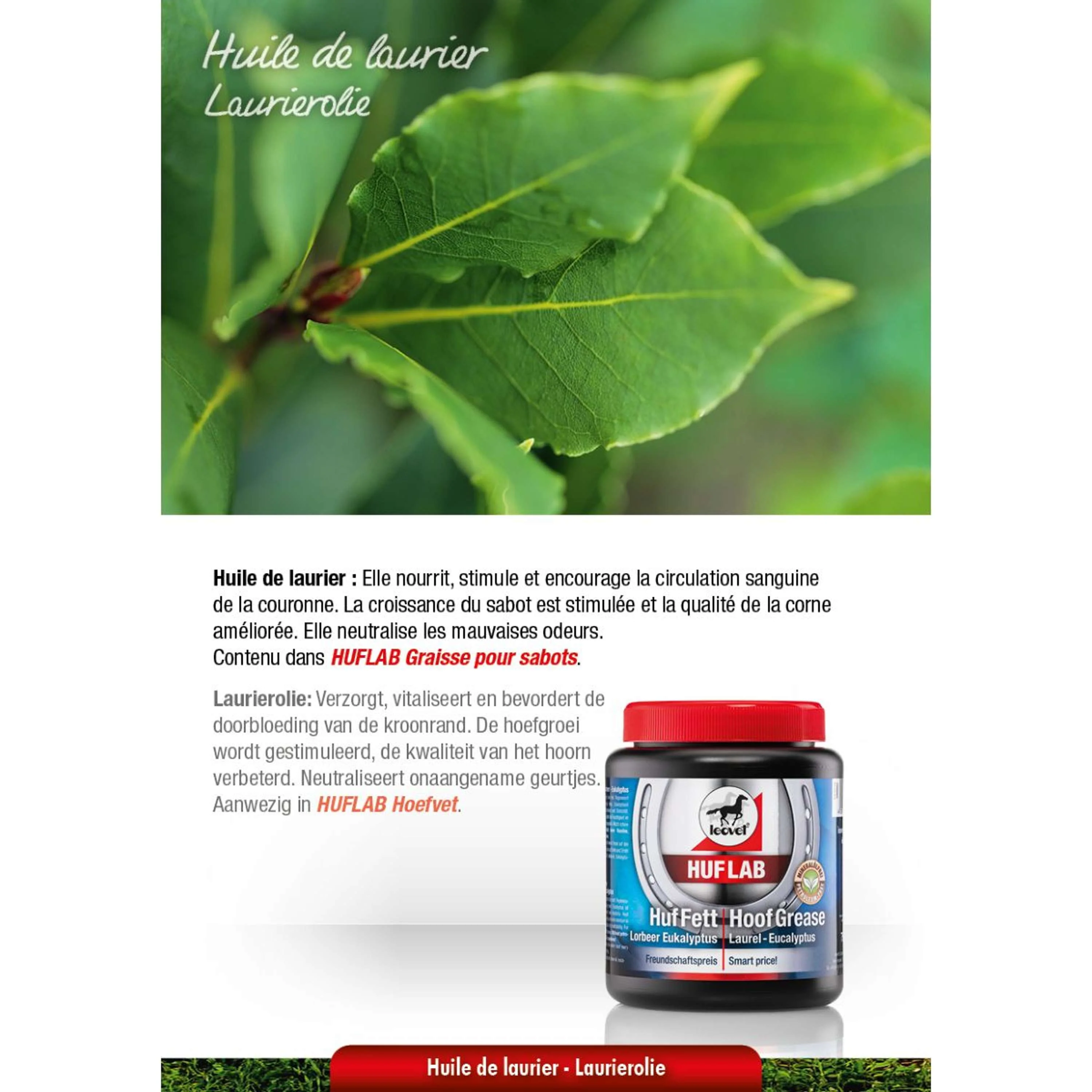 Leovet Hooflab Graisse - Image 7