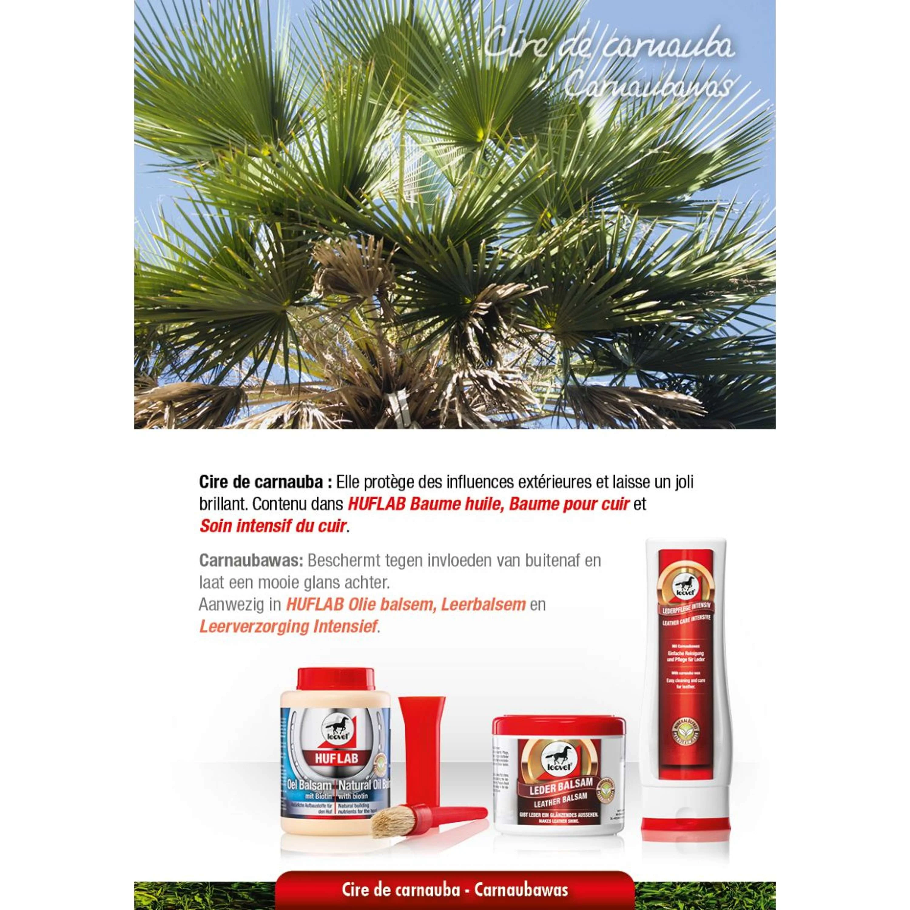 Leovet Leather Balsem - Image 7